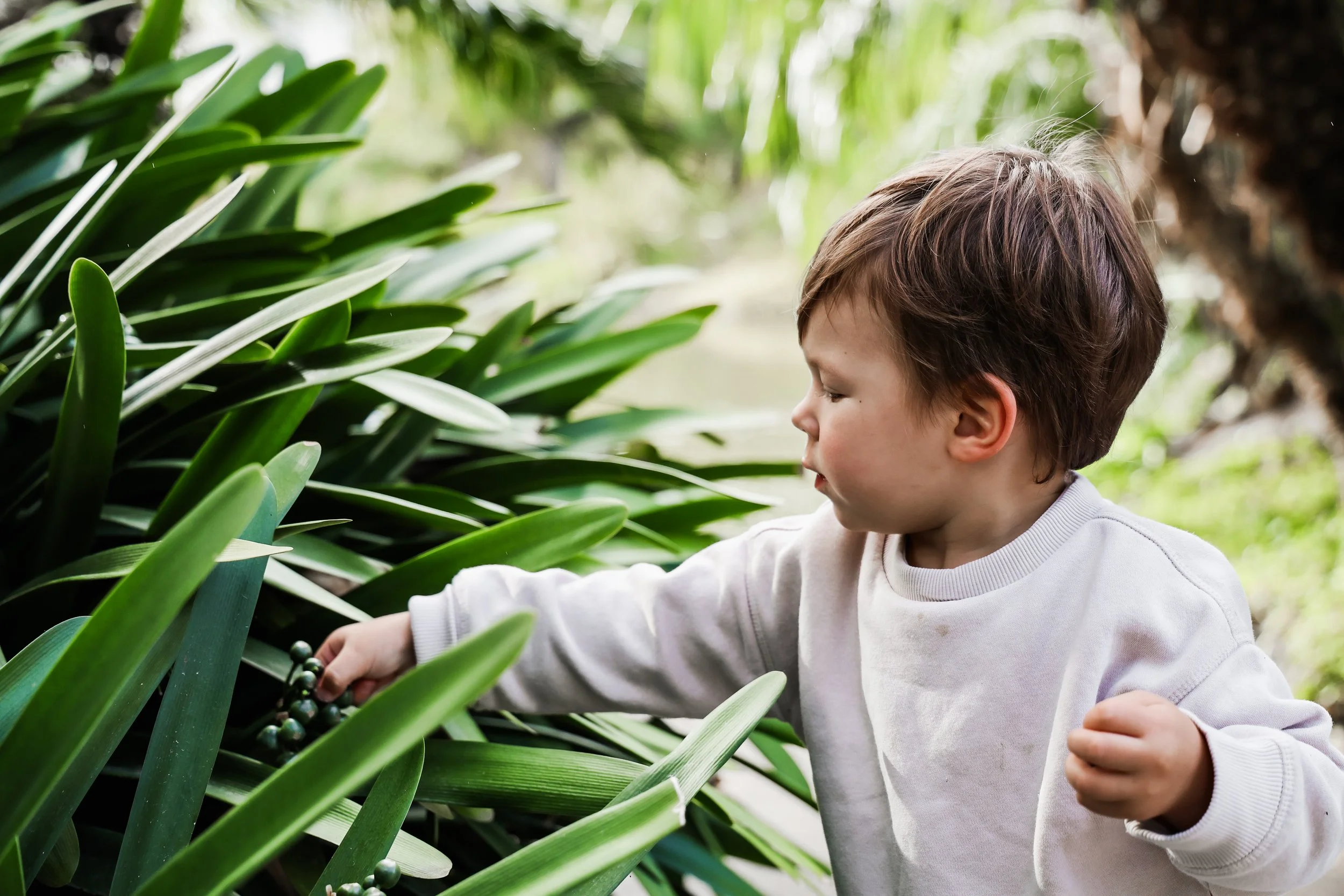 Queens Park Moonee Ponds Mini Sessions Melbourne Family Photography Relaxed Candid Natural Portraits Kids Portraits Glenroy North West Photographer