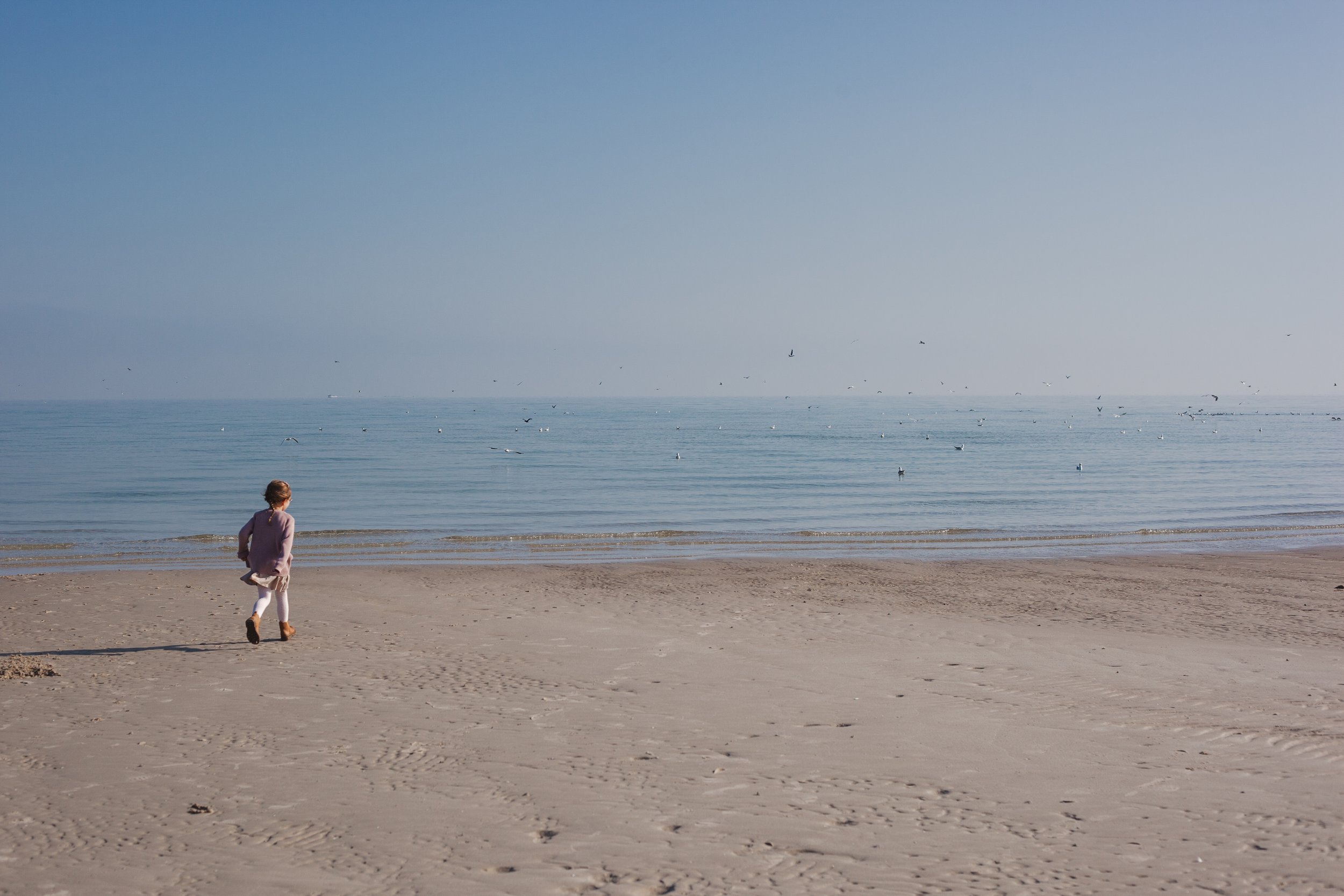 A young girl walking on a sandy beach toward the water with seagulls flying over the calm ocean under a clear blue sky.