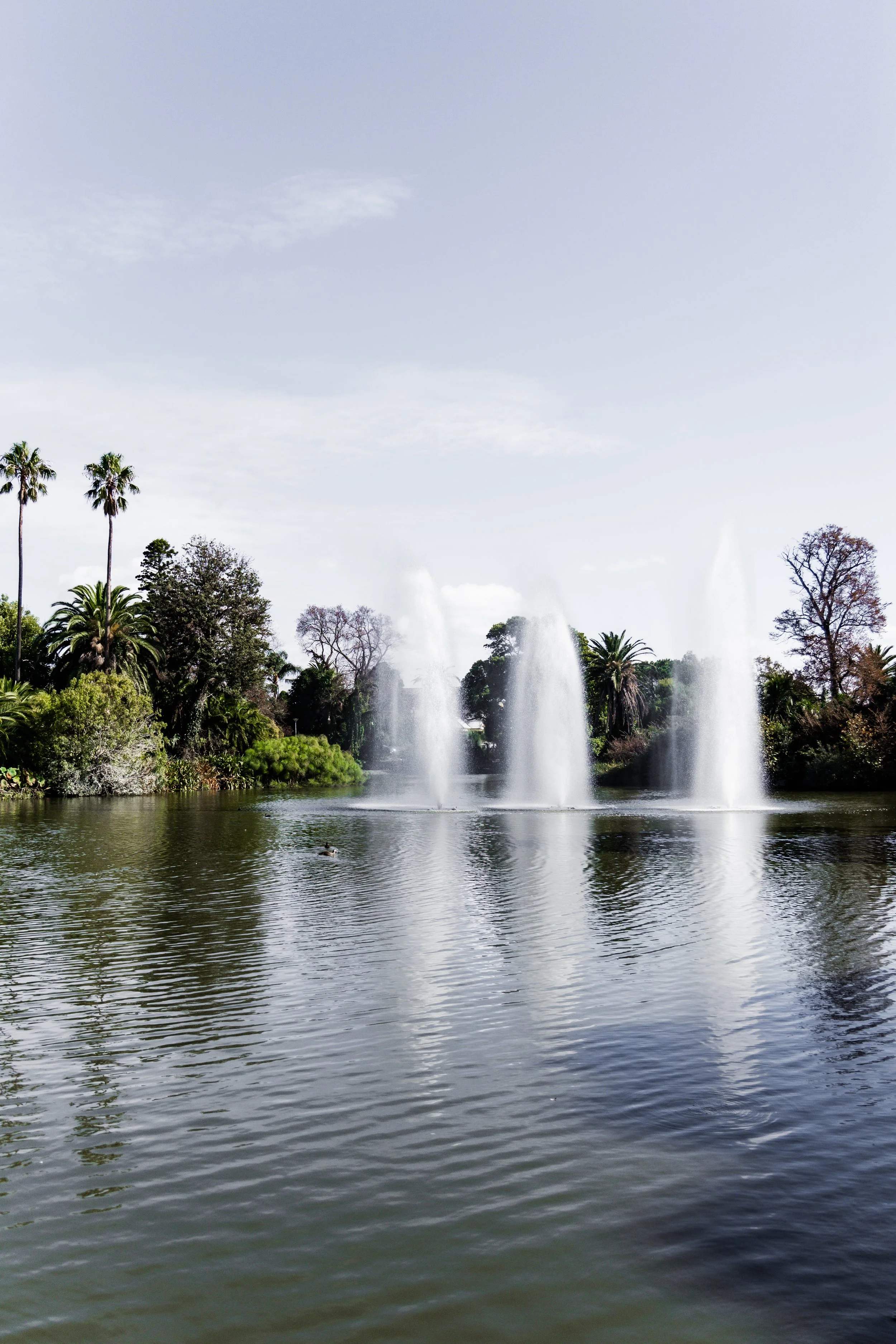 Queens Park Moonee Ponds Mini Sessions Melbourne Family Photography Relaxed Candid Natural Portraits Kids Portraits Glenroy North West Photographer