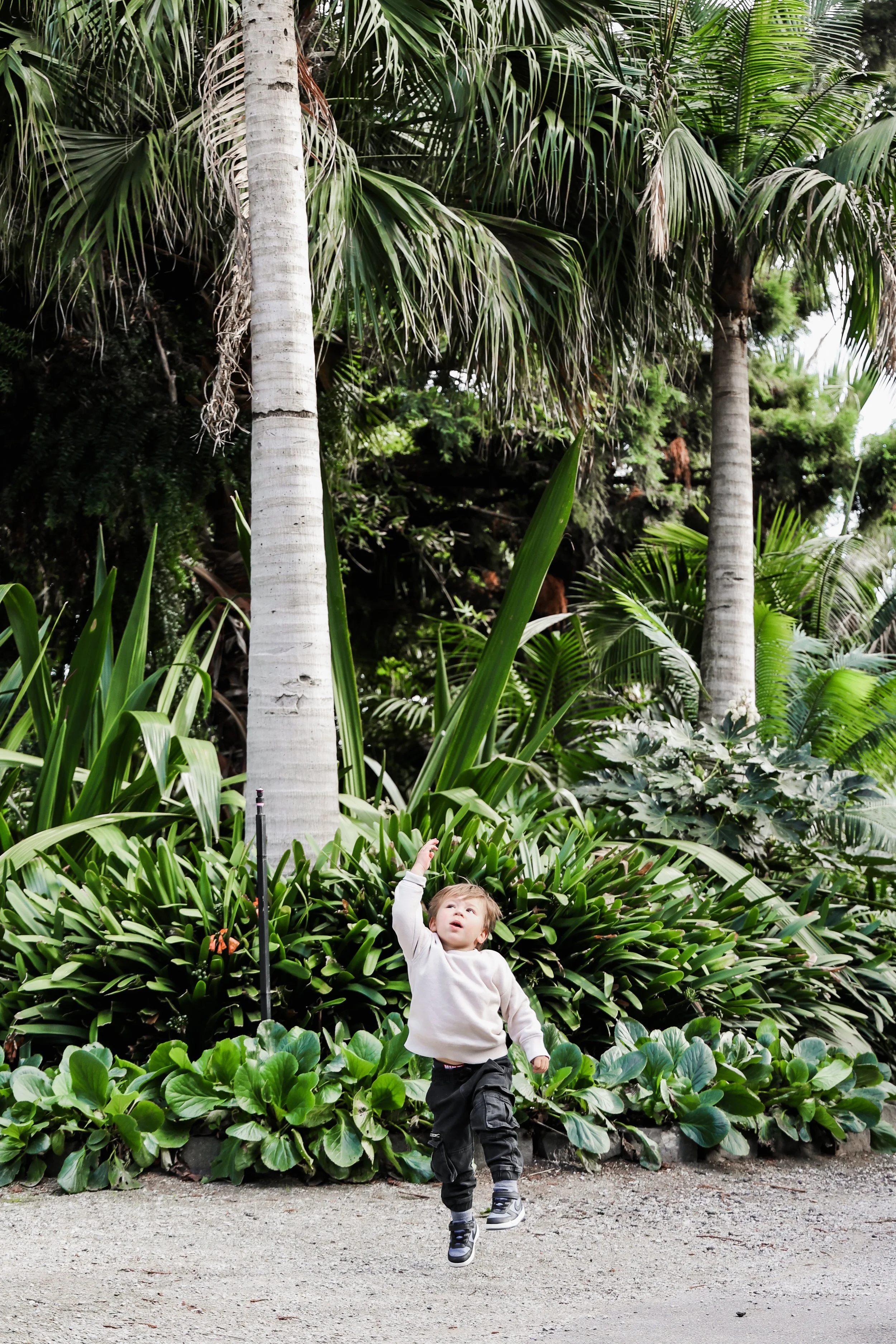 Queens Park Moonee Ponds Mini Sessions Melbourne Family Photography Relaxed Candid Natural Portraits Kids Portraits Glenroy North West Photographer