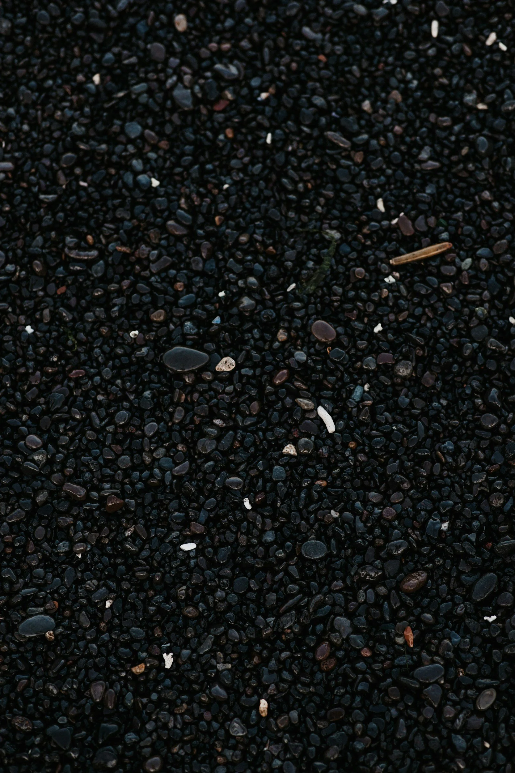 Hawaiian Black Lava Salt | Mineral-charged | Detoxing | Claifying