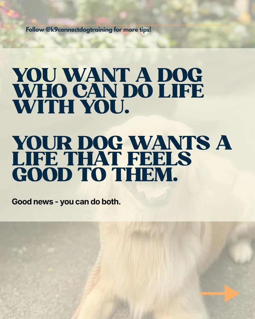 BEFORE you ask your dog to settle into your world. Make space for them to be a dog in THEIRS. 

Because, who doesn&rsquo;t want a dog that can just &ldquo;do&rdquo; life with them? I know I do. But we also need to think about how our dogs are experie