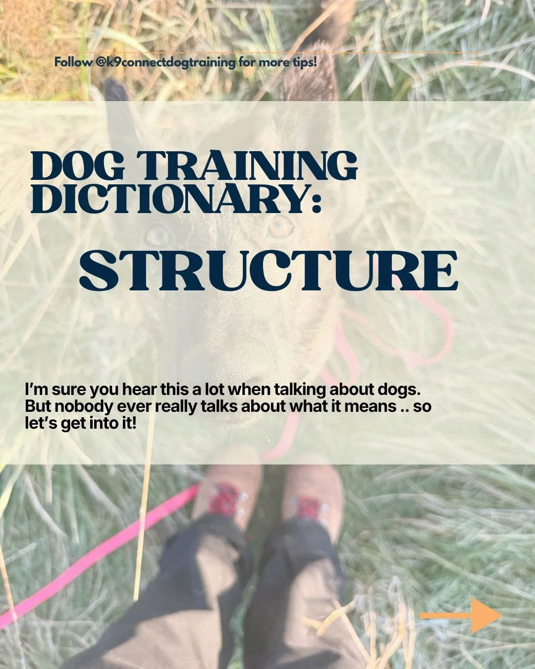 Let&rsquo;s talk about structure! 

I think this is one of those terms that means different things to different trainers. Here&rsquo;s what it means to us. 

Clear direction &amp; consistent follow through with an activity. Oh, and don&rsquo;t forget