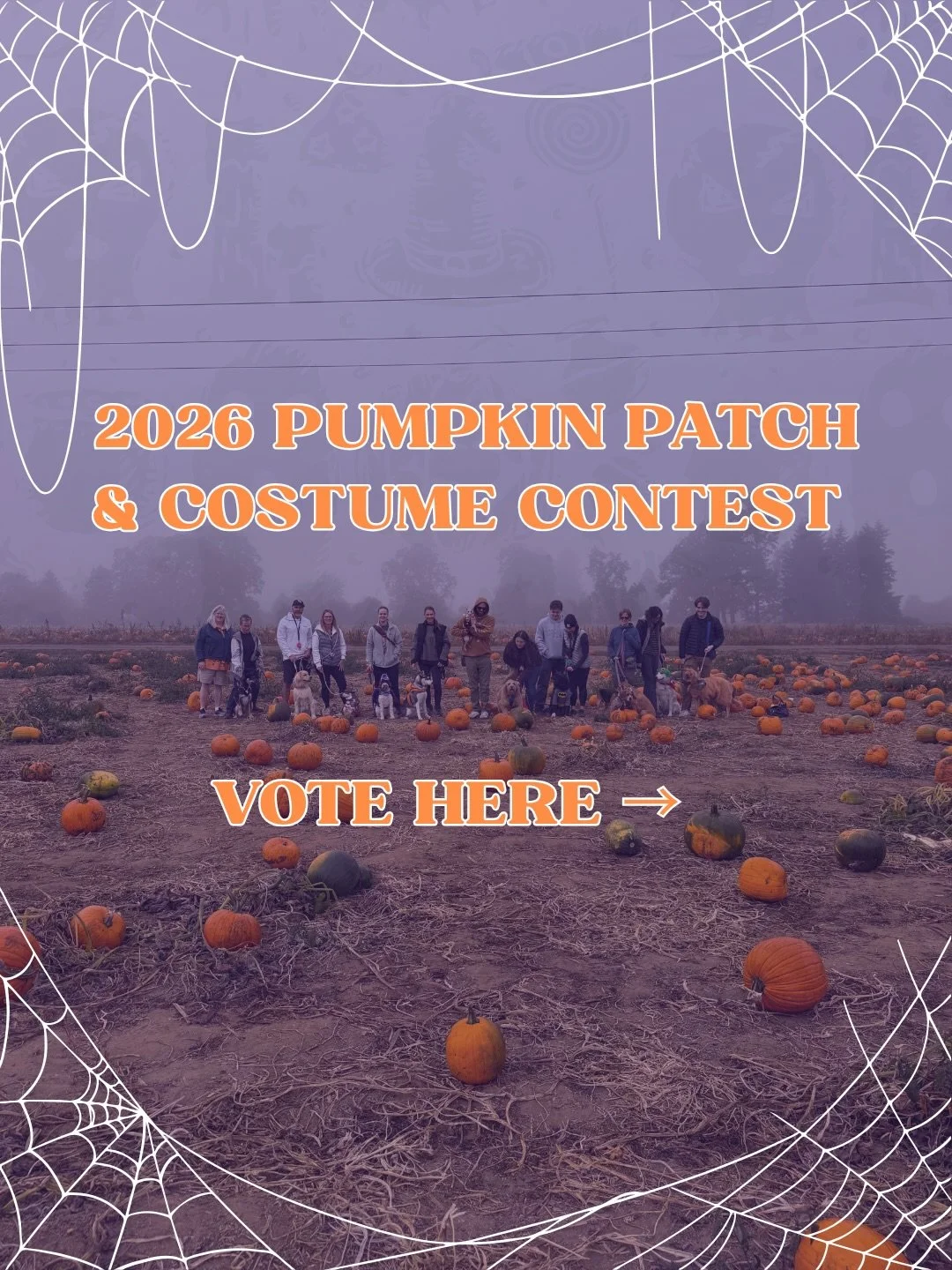 🐾🎃 Help us vote the winner of our Costume Contest! 🎃🐾

Comment on the photo of the dog you&rsquo;d like to vote for! 

1 comment = 1 vote 

Winner will be announced after 24 hours of voting. Please feel free to share with family and friends, and 