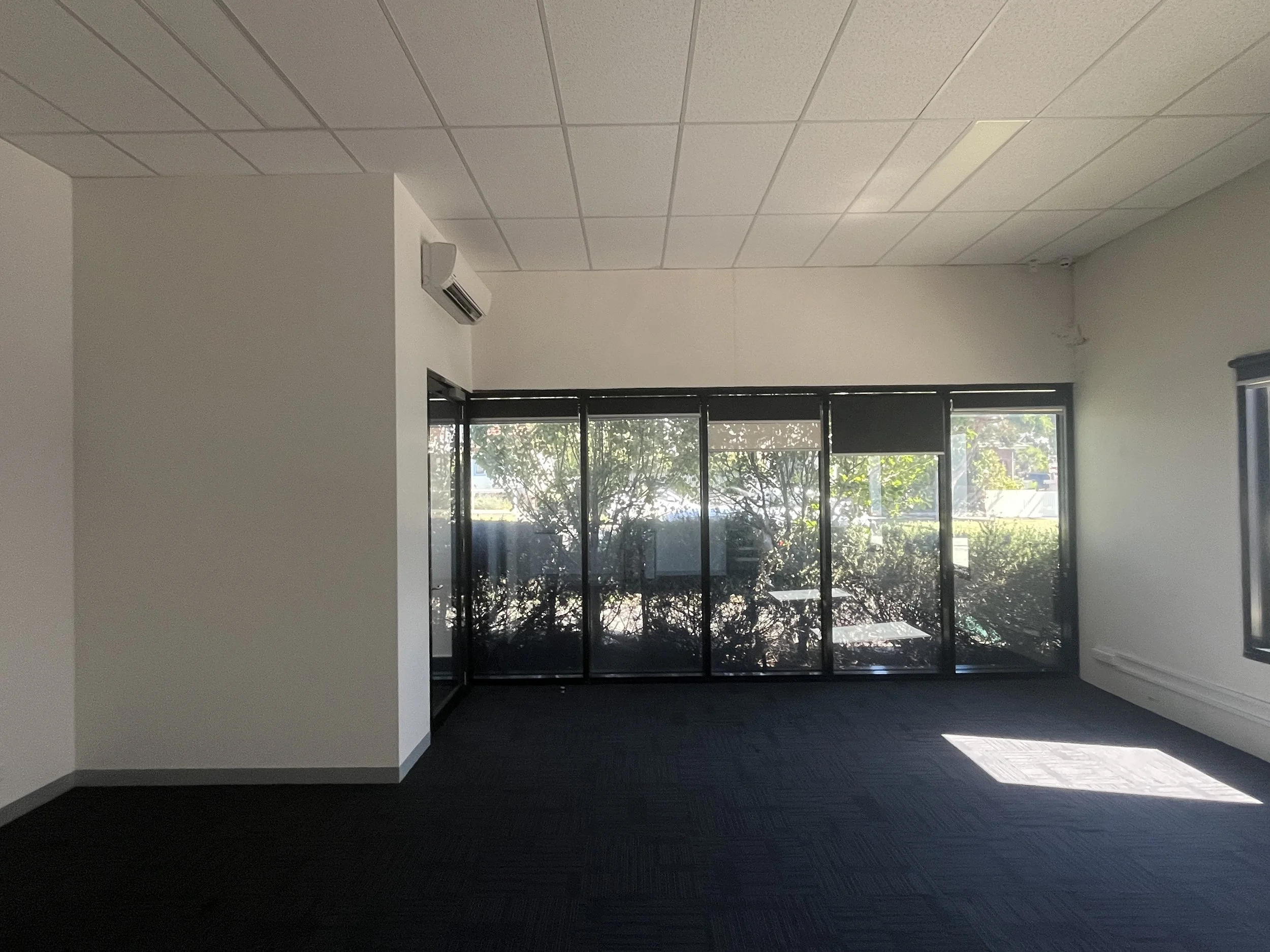 Skin Serene_Old 2.JPG