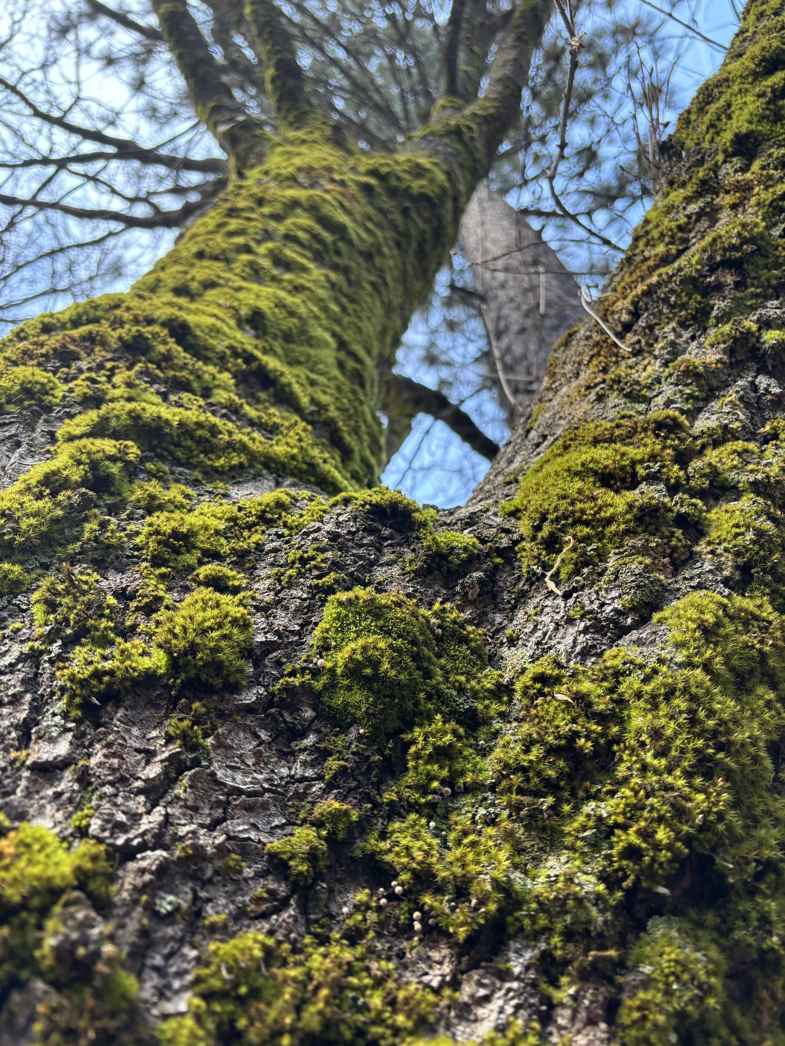 Questions to Ask a Therapist in Orange County Before Your First Session