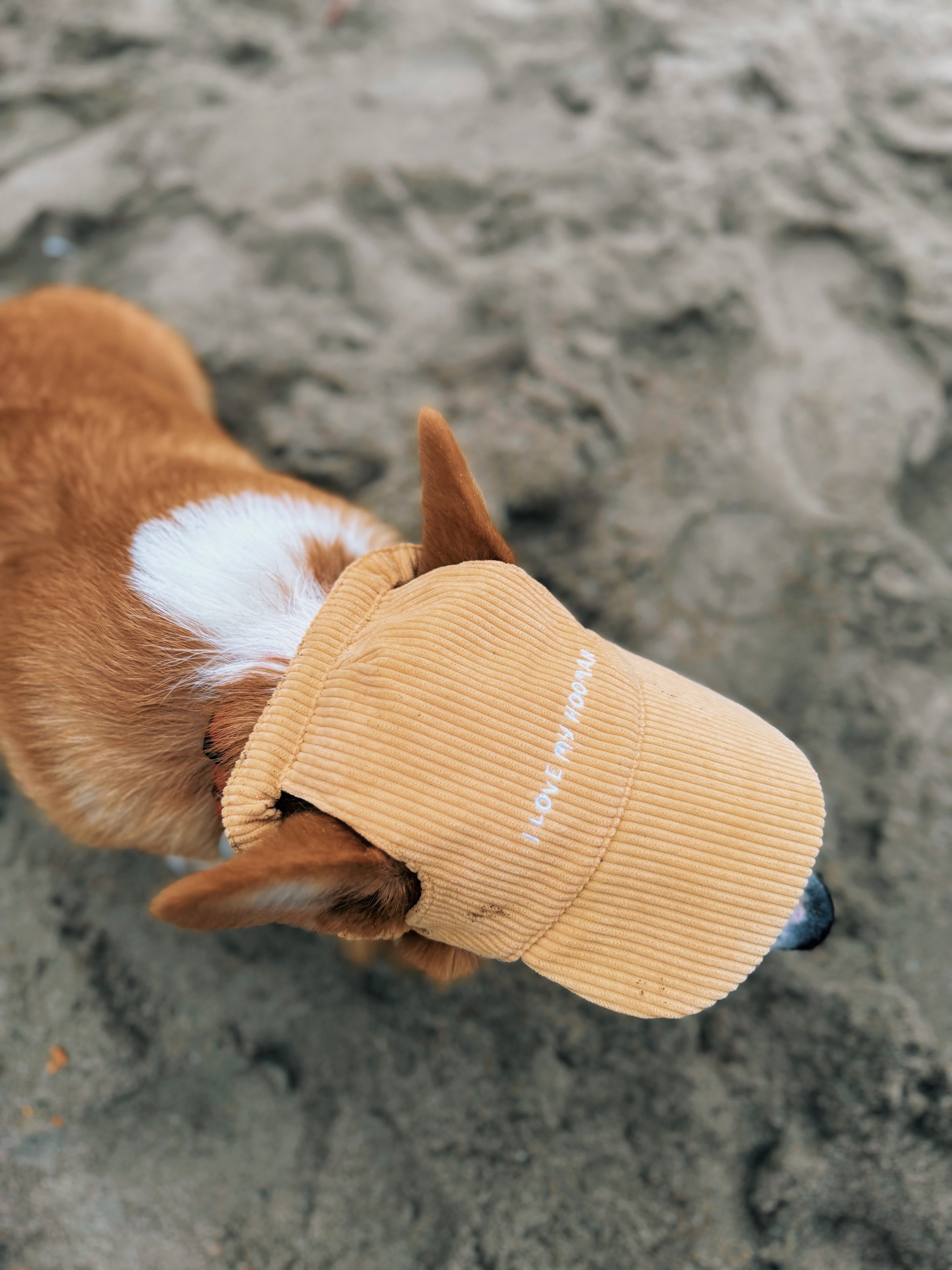 FullSizeRender_VSCO 5.JPG