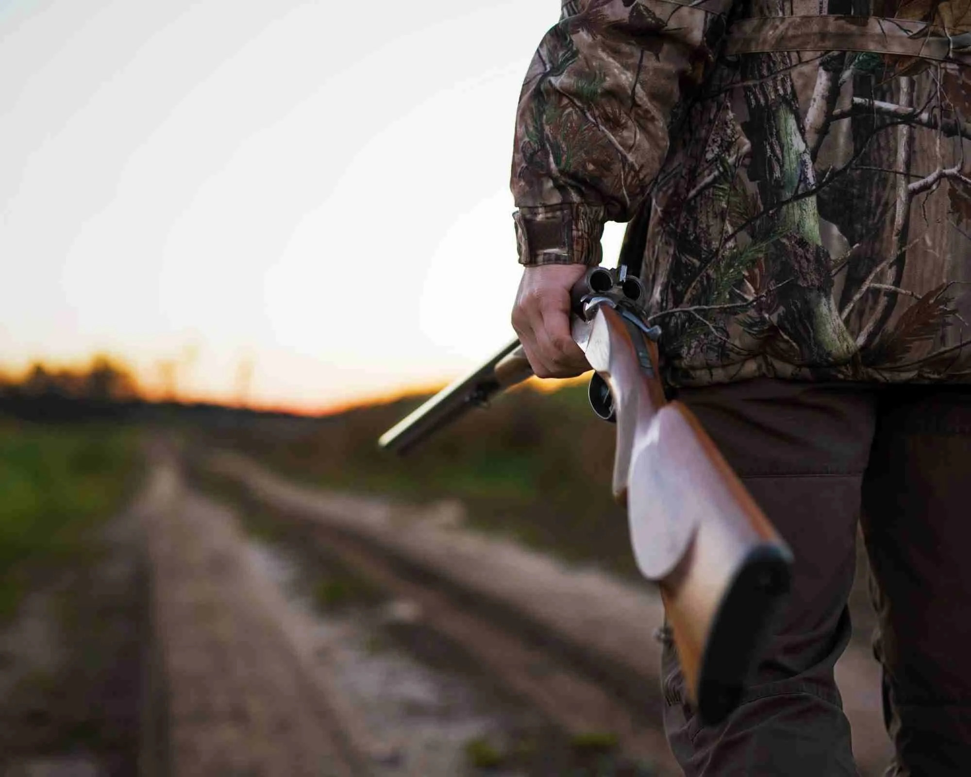 Firearm license Hunting NZ