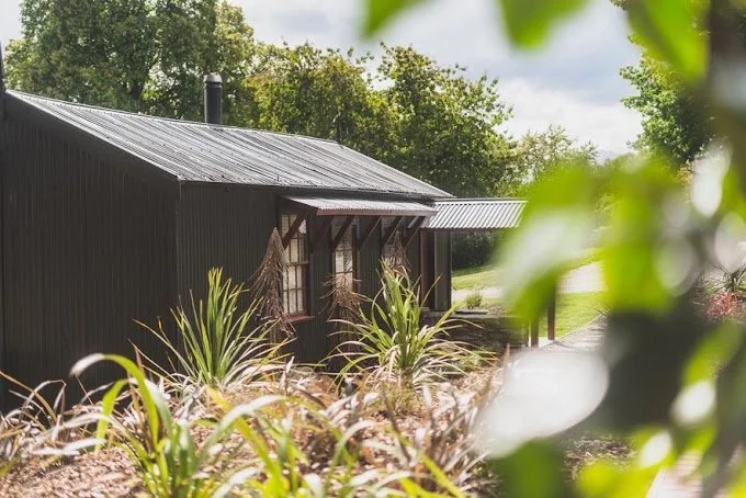 south island private hunts - snowline hunting nz