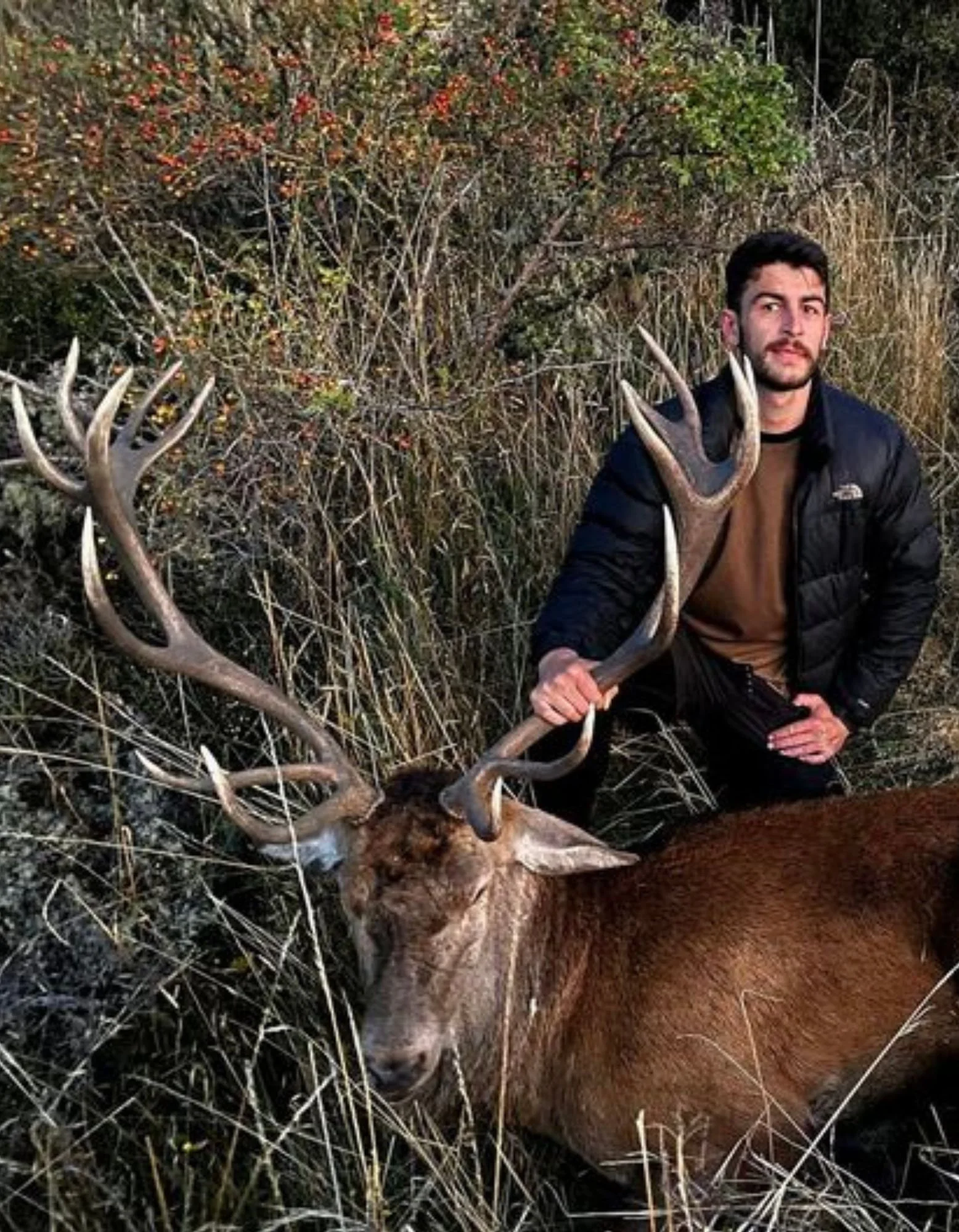 Red stag hunting south island NZ