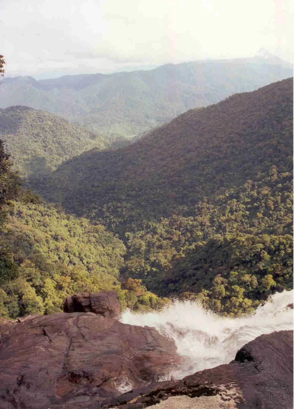 1 Day -  Bach Ma National Park Small Group Trekking Tour