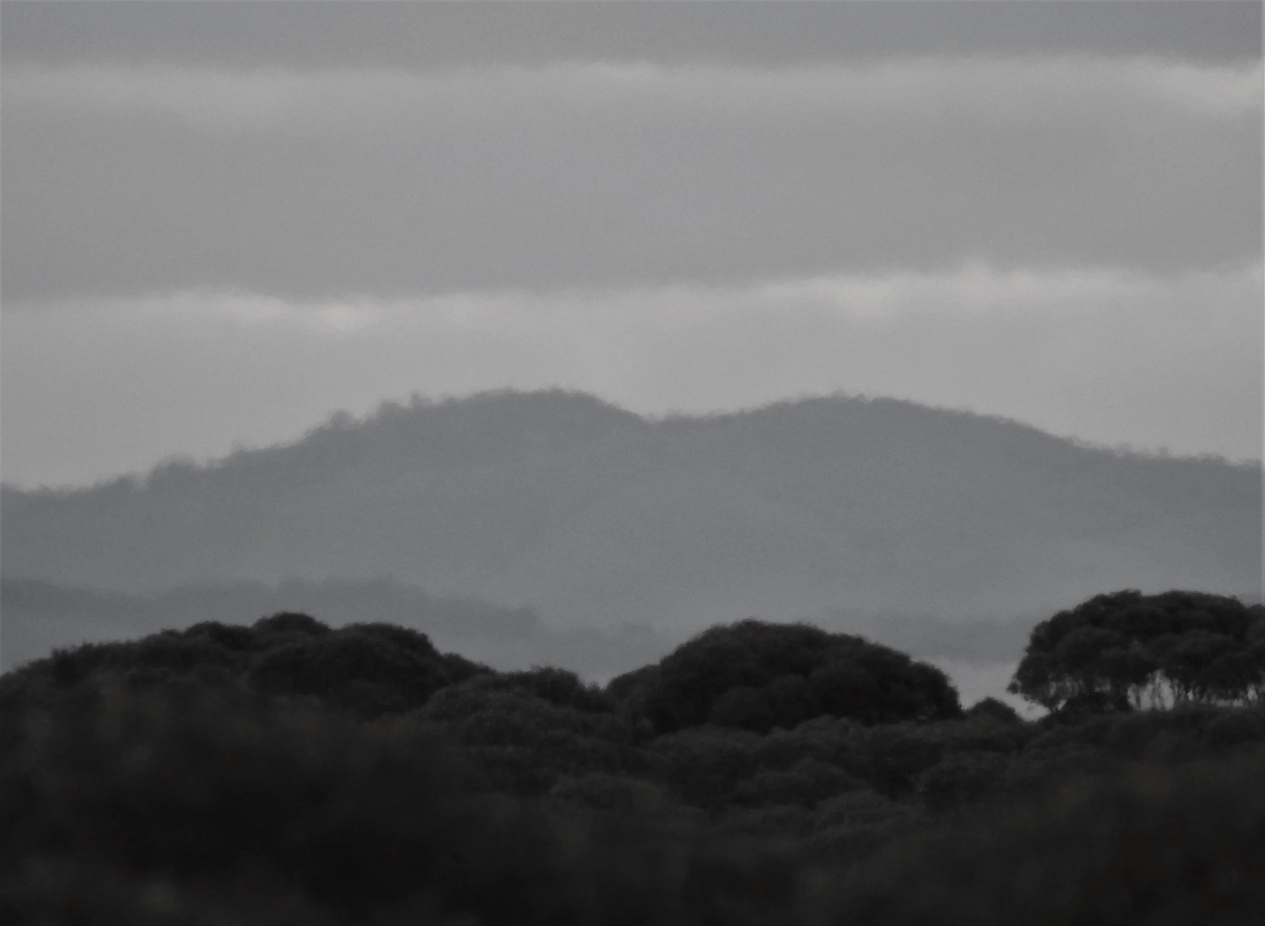 b&w from the tower 3 Oct.jpg