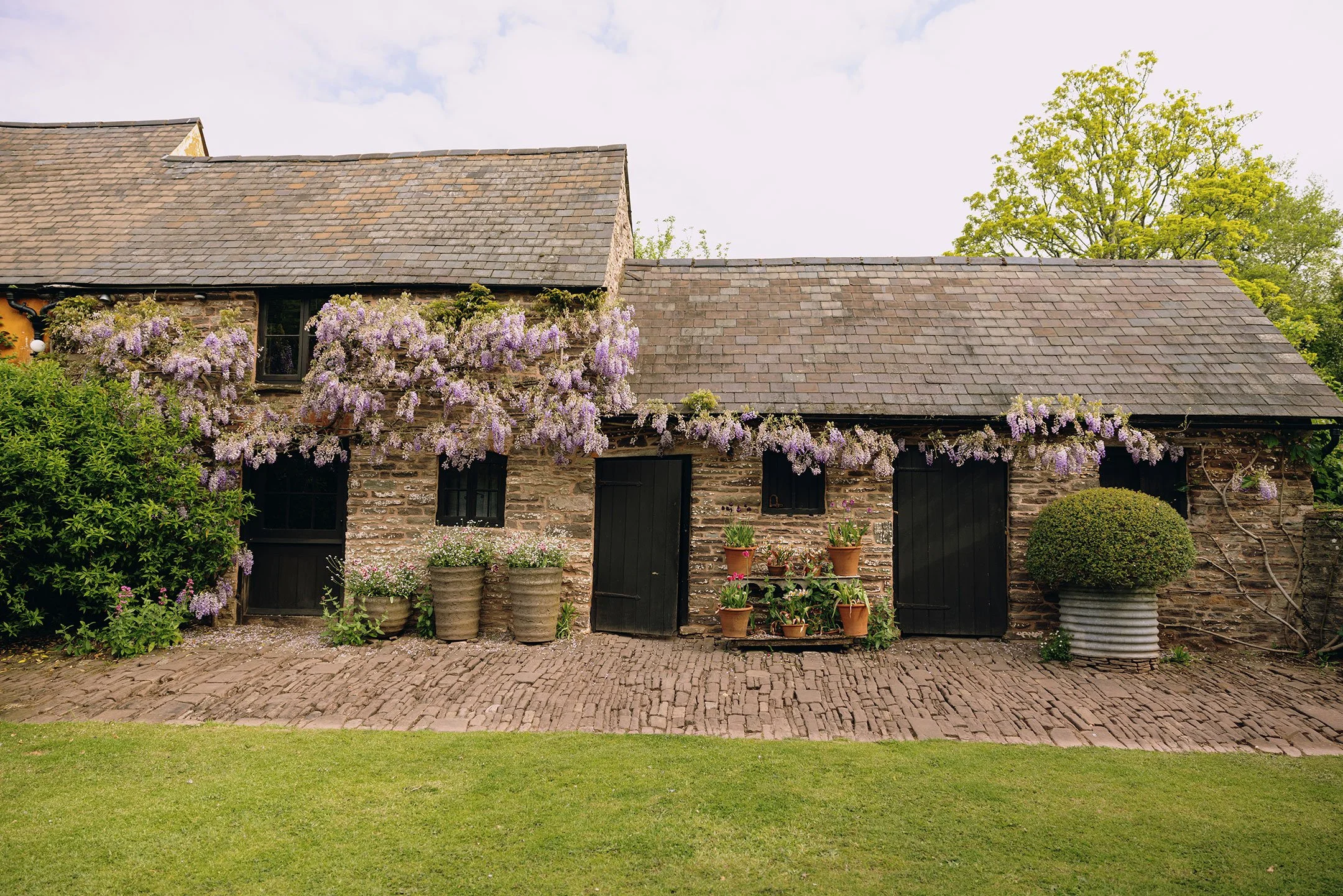 Wisteria_garden_maintenance.jpg