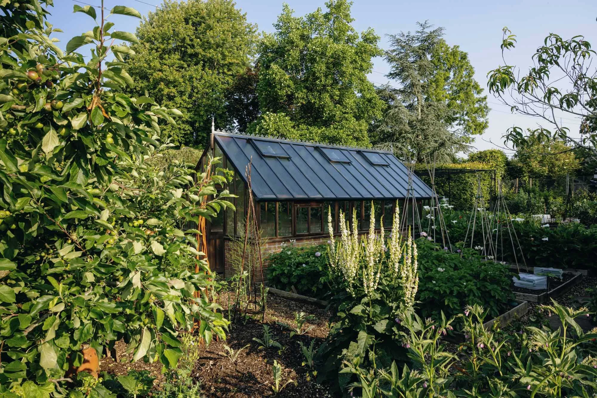 Cottage vegetable garden and greenhouse