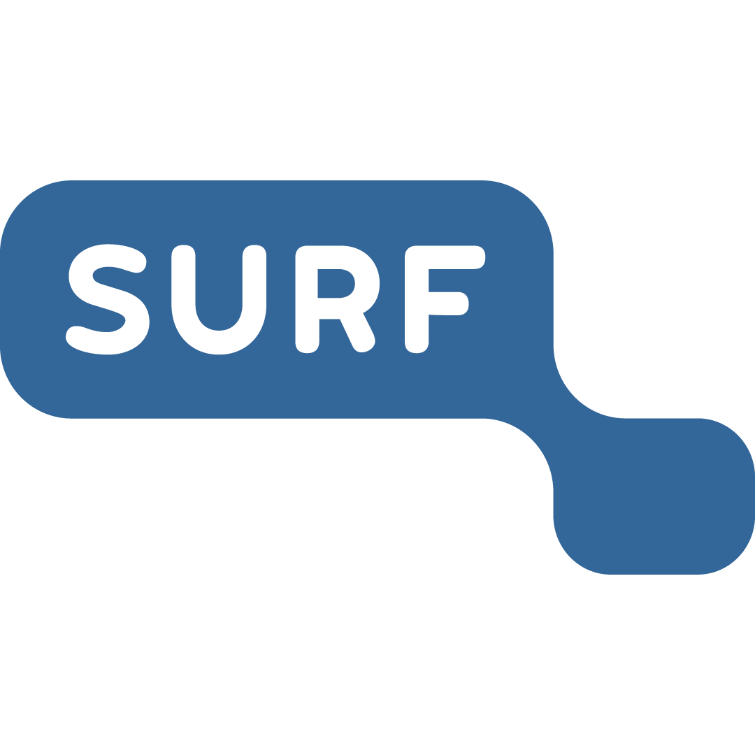 logo_s surf website -13.png