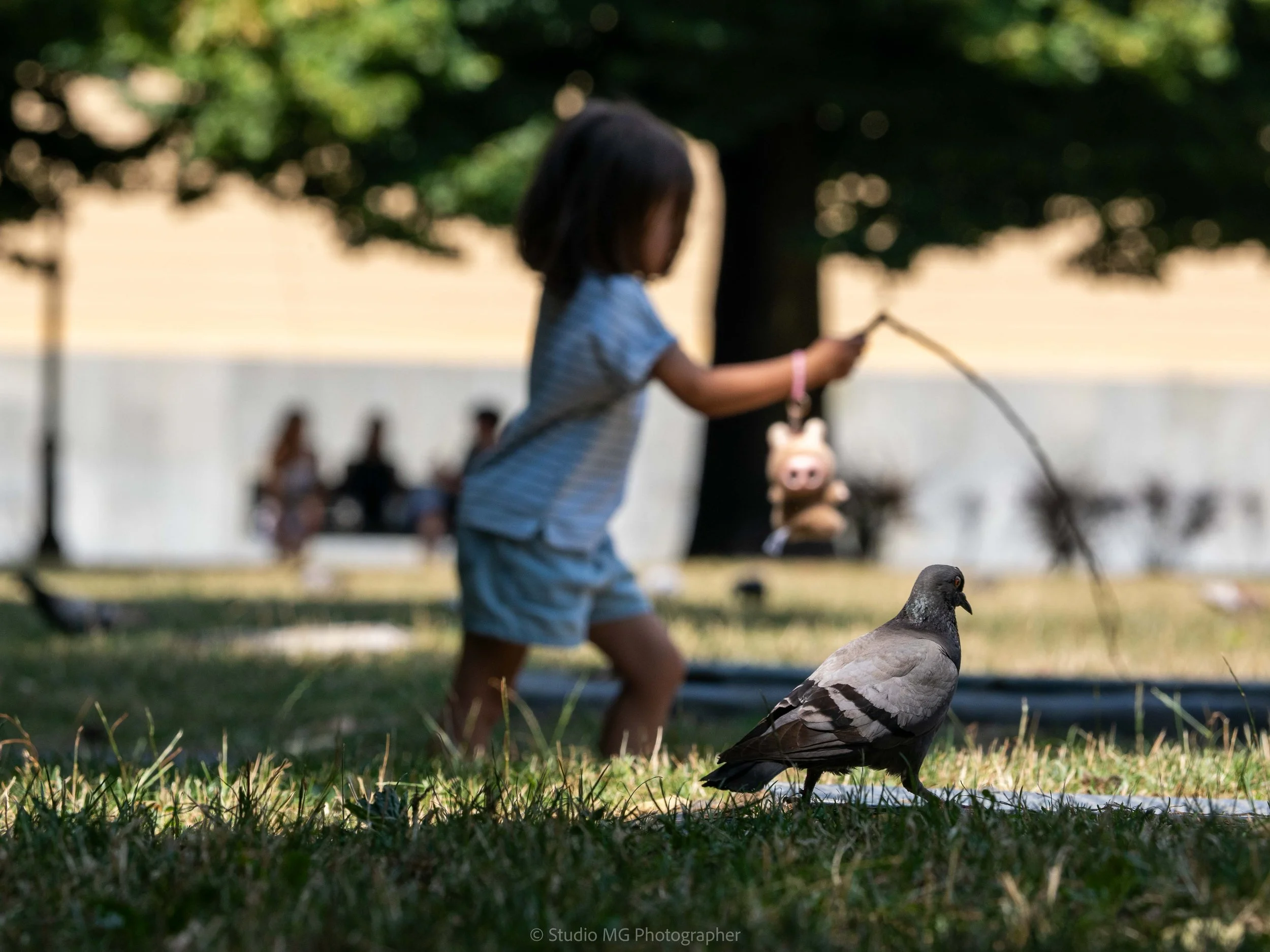 portfolio street-7240200.jpg