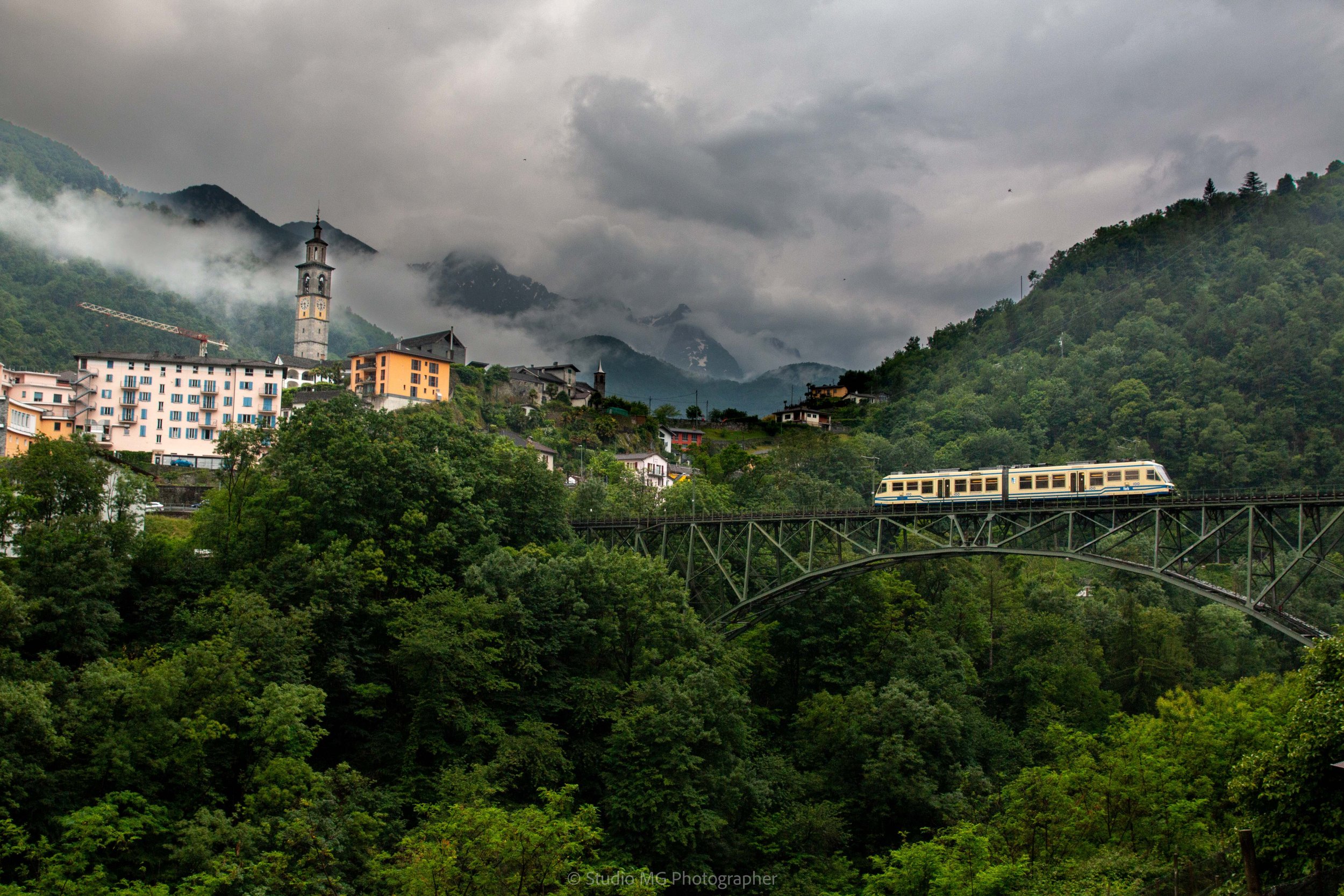 portfolio landscape-2098.jpg