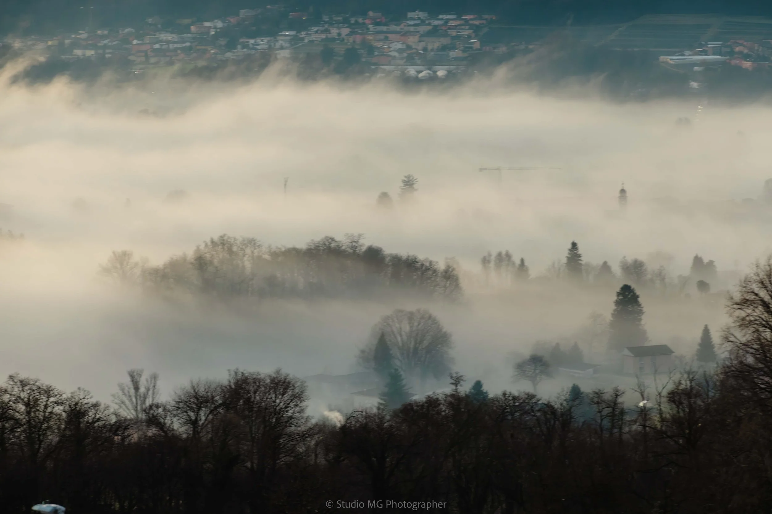 portfolio landscape--9.jpg