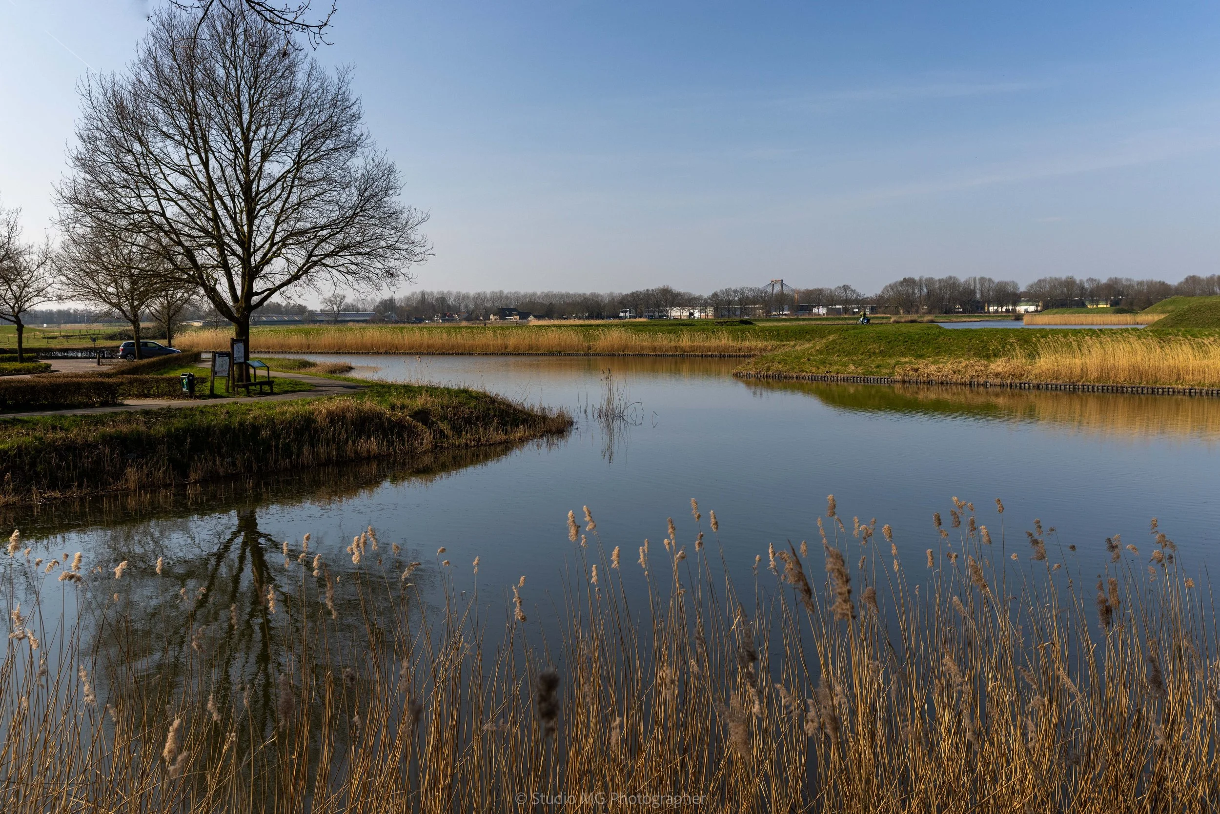 portfolio landscape-1304.jpg