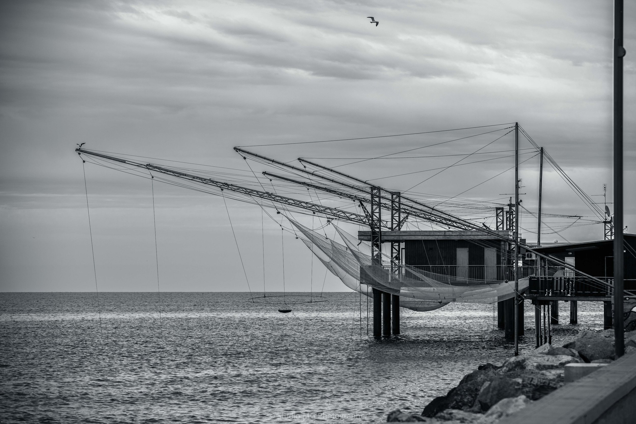 portfolio mono-0168.jpg