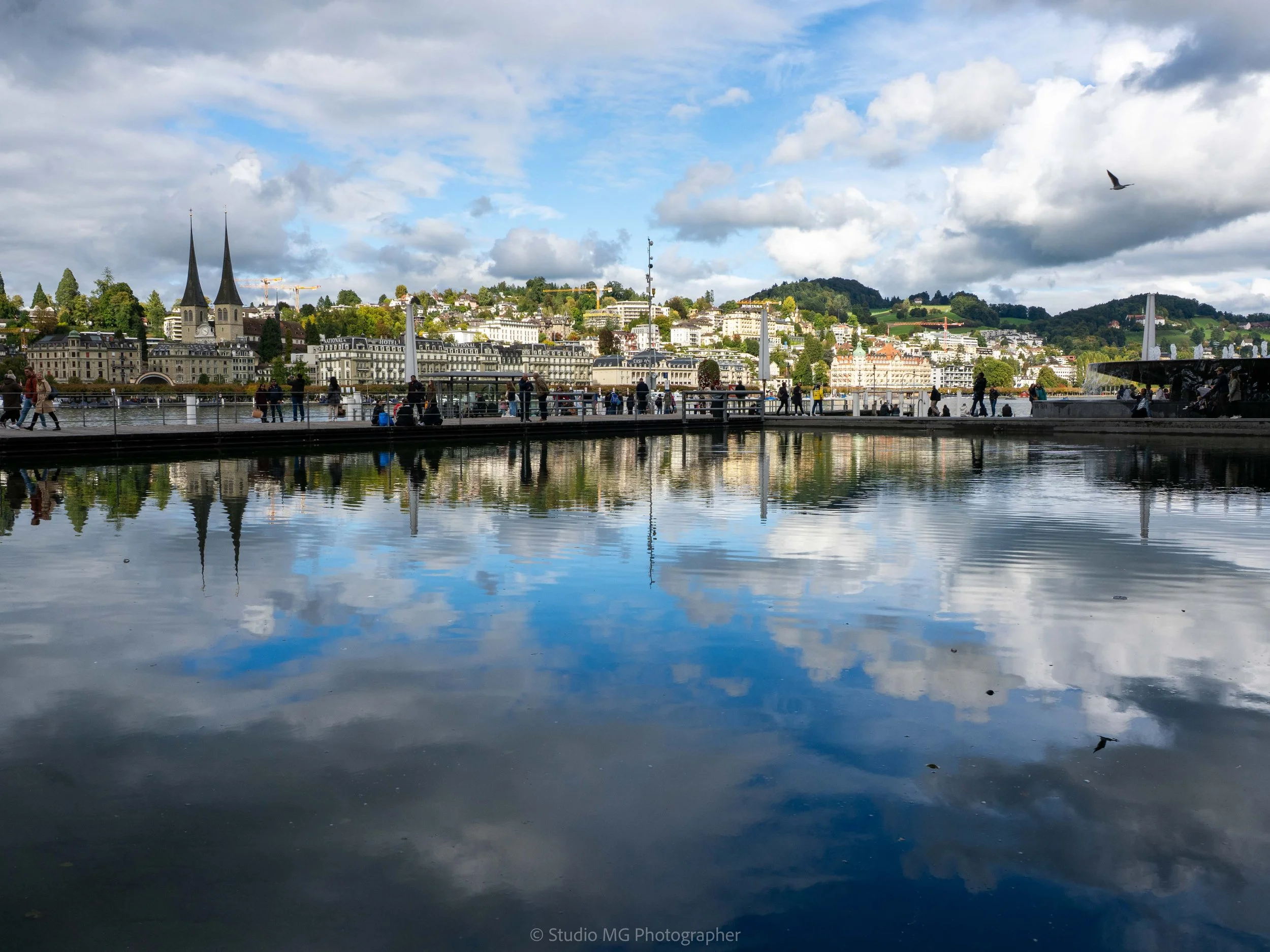 portfolio landscape-9270081.jpg