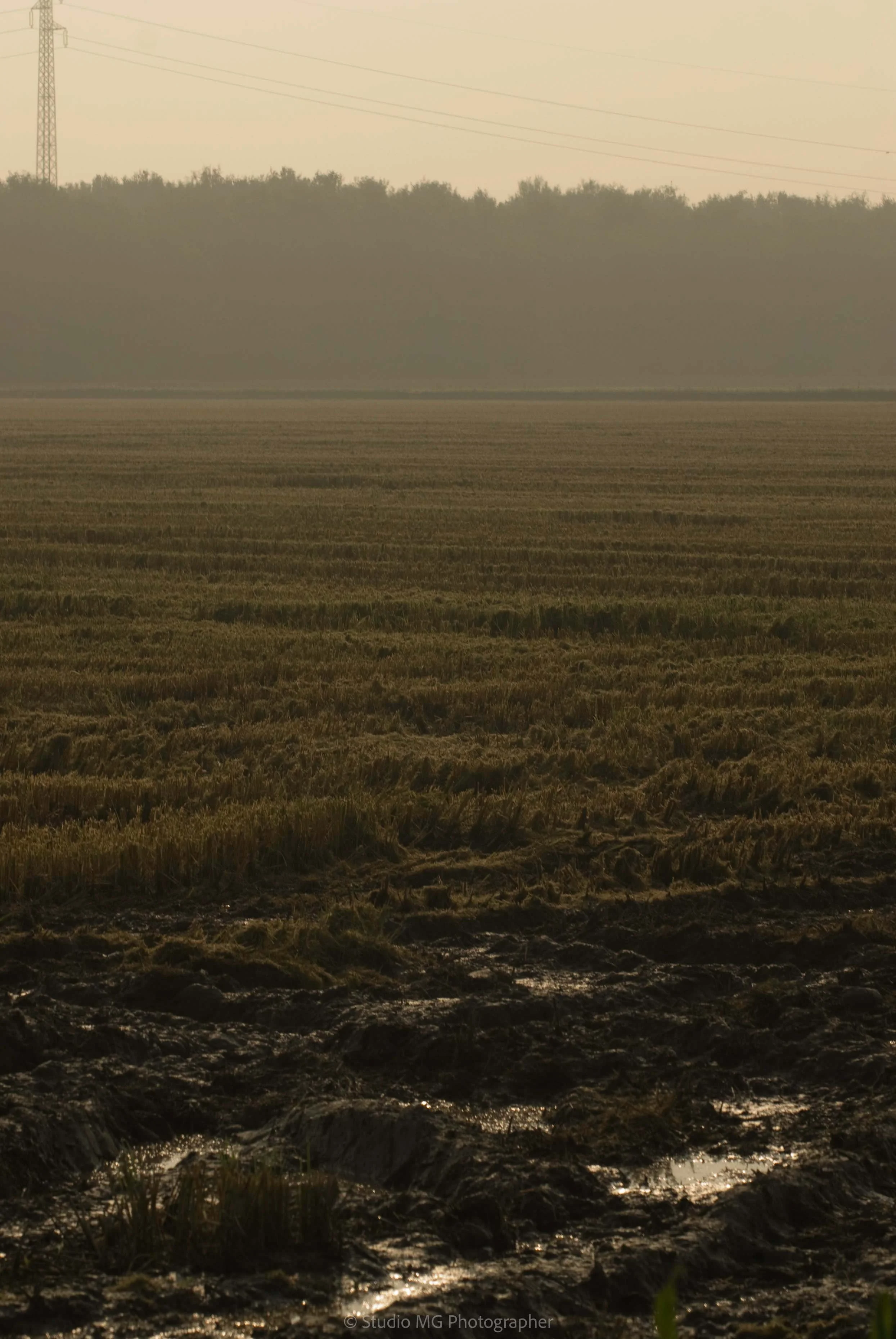 portfolio landscape--6.jpg