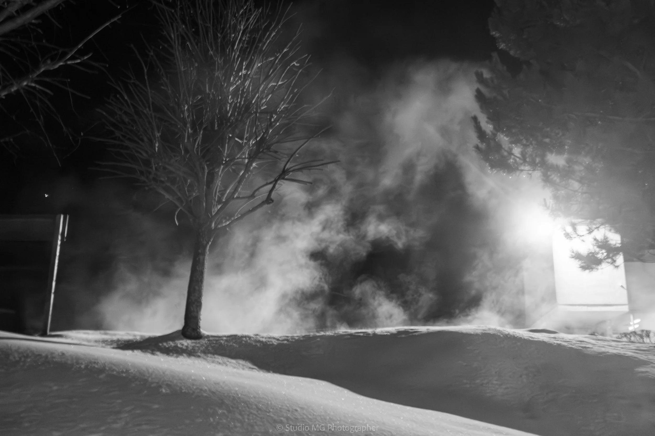 portfolio mono--5.jpg