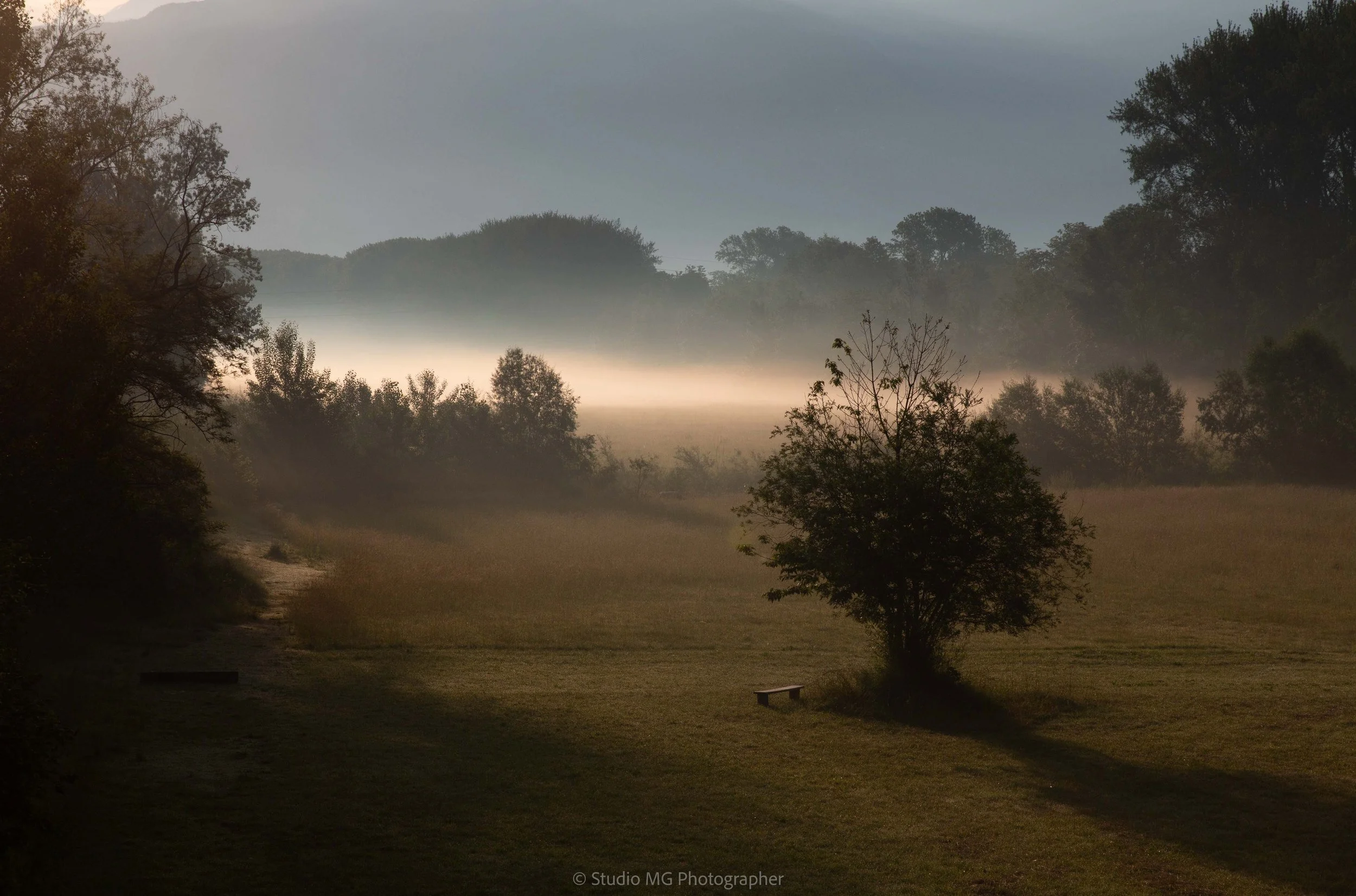 portfolio landscape-2060.jpg