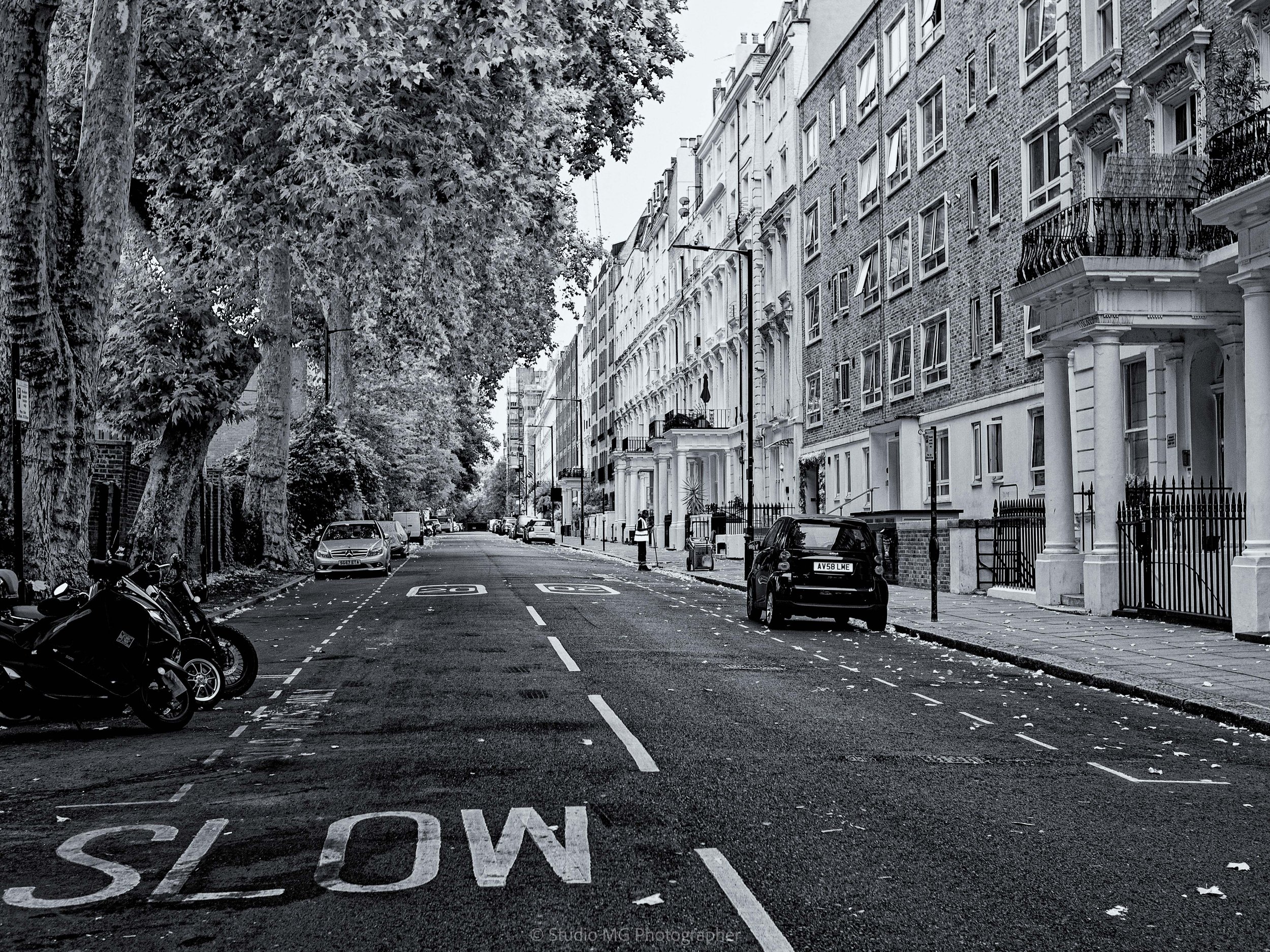 portfolio monorevis-.jpg