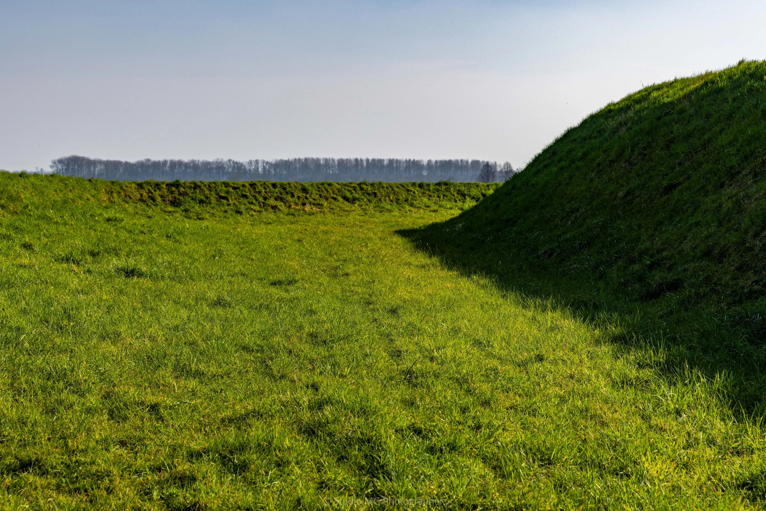 portfolio landscape-1381.jpg