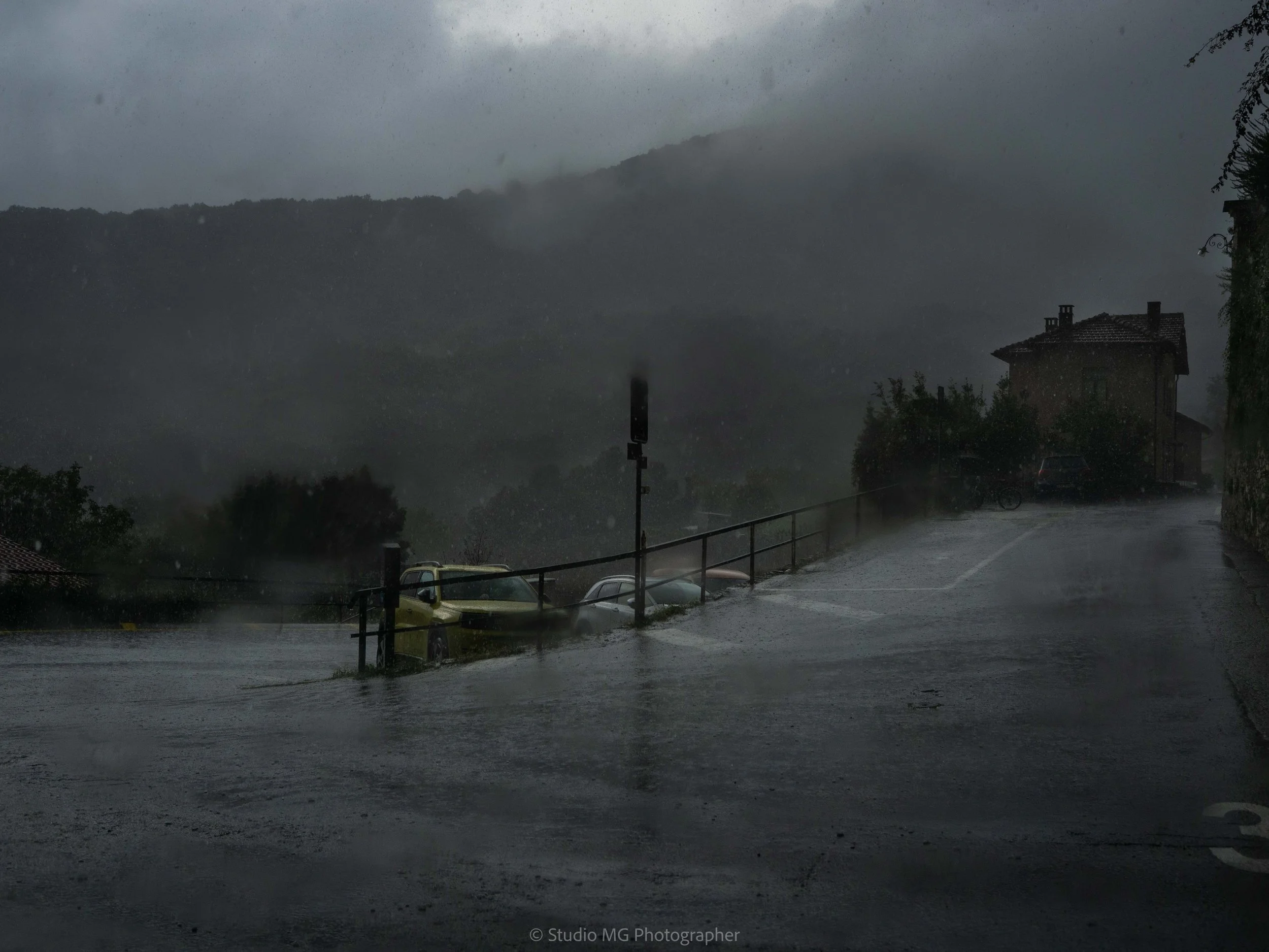 portfolio landscape-9230019.jpg