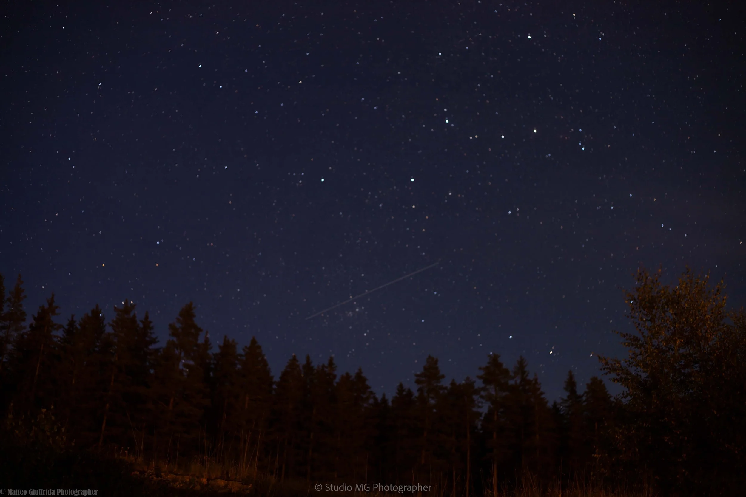 portfolio landscape-2.jpg