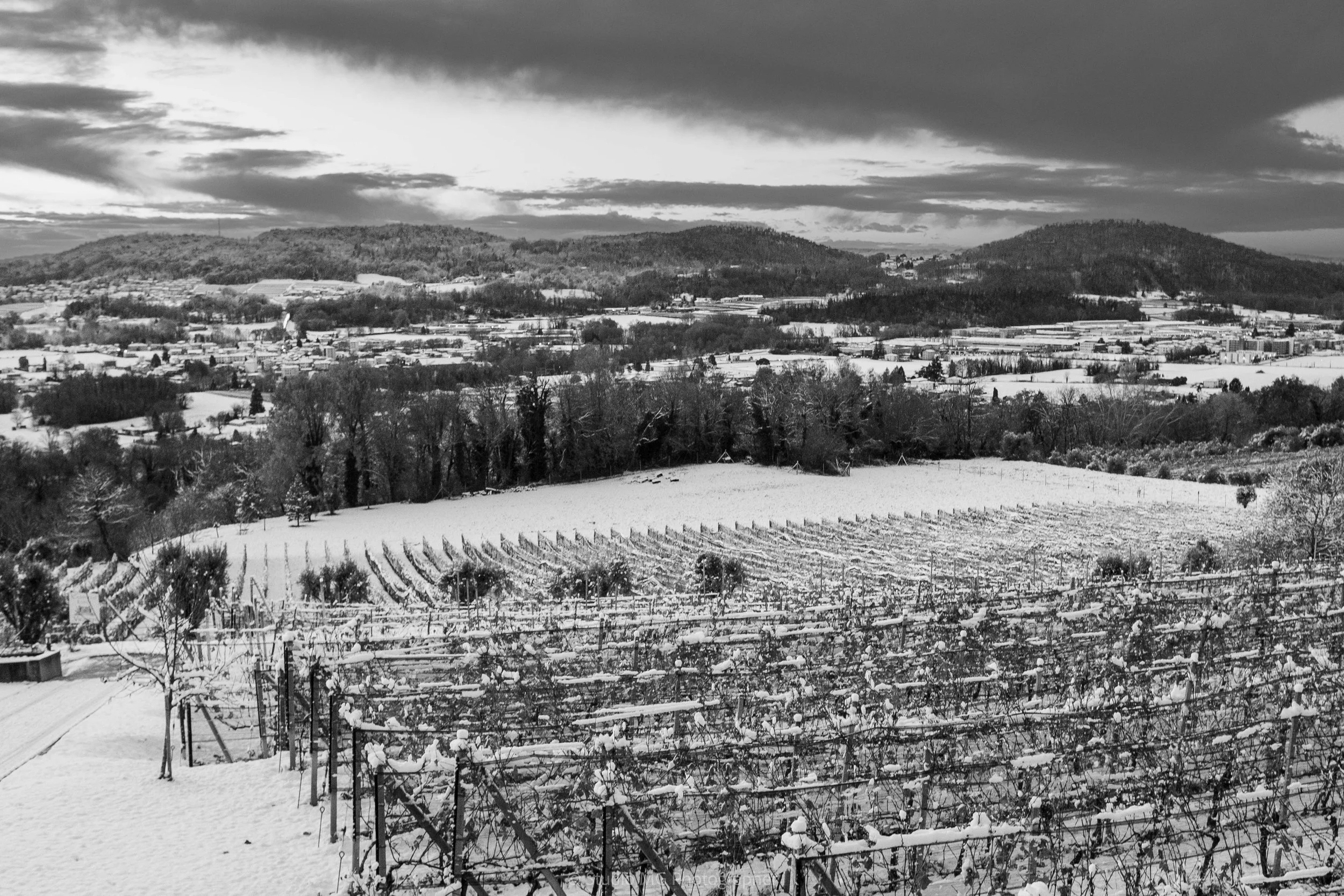 portfolio mono-6223.jpg