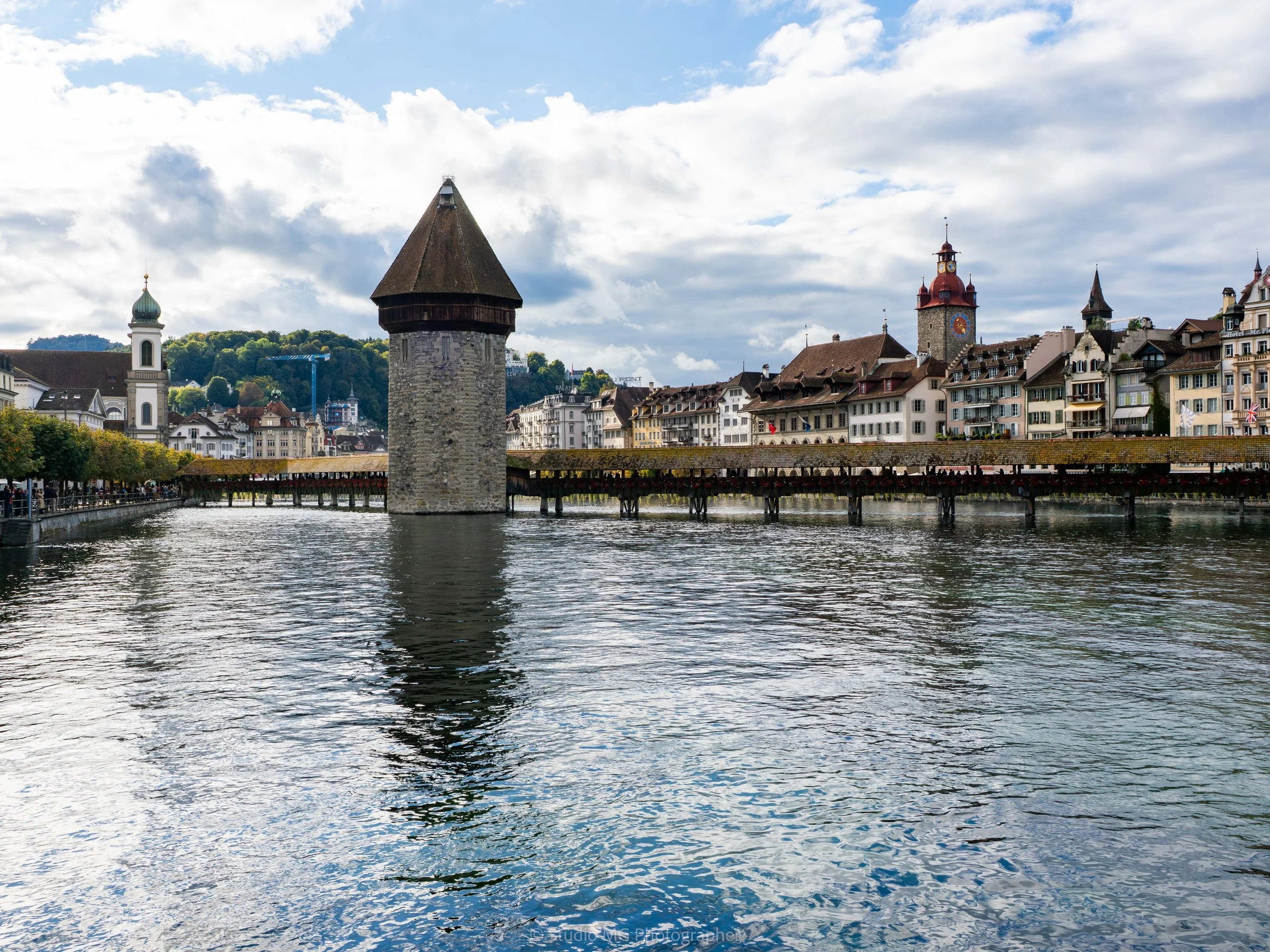 portfolio landscape-9270165.jpg