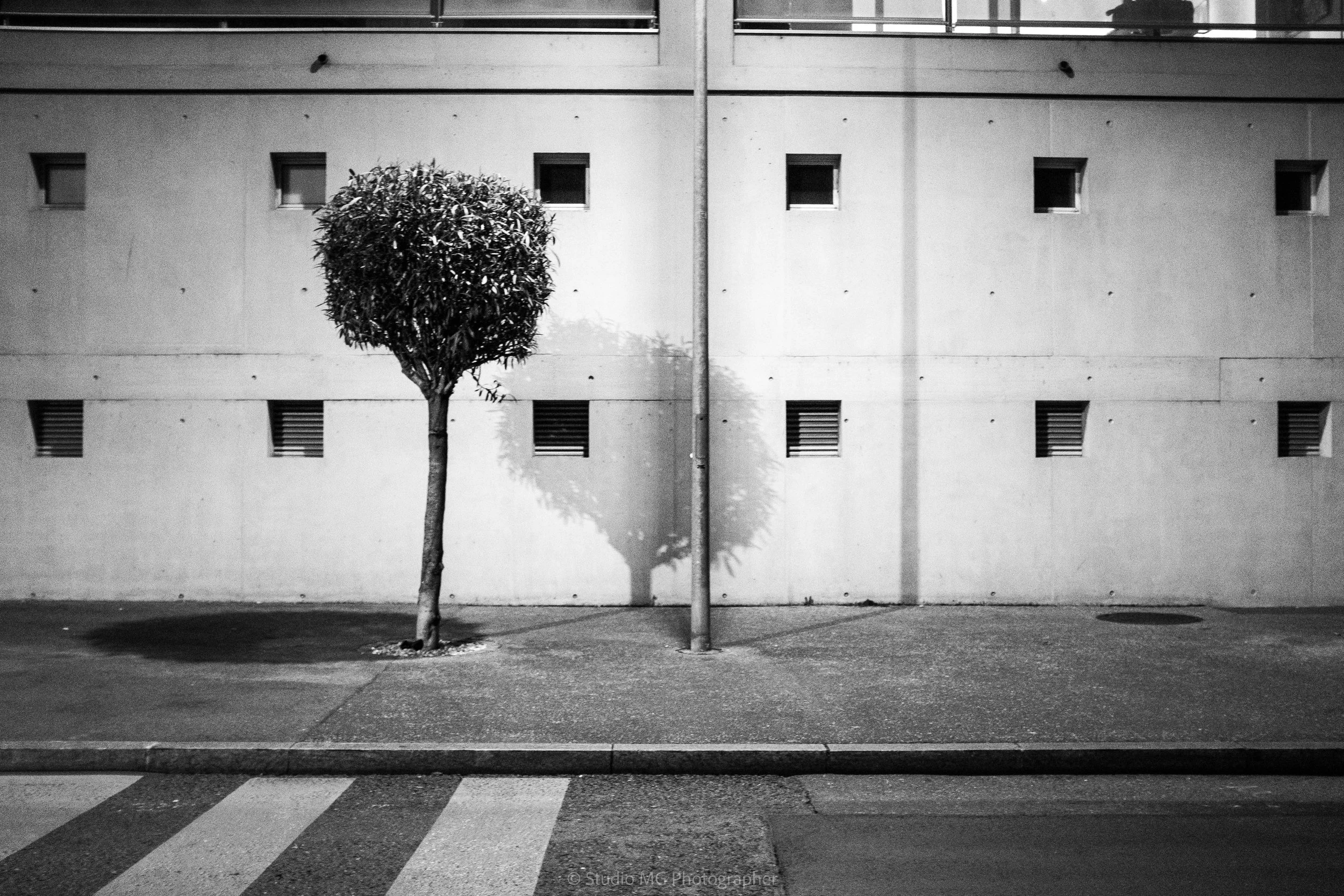 portfolio mono-7673.jpg