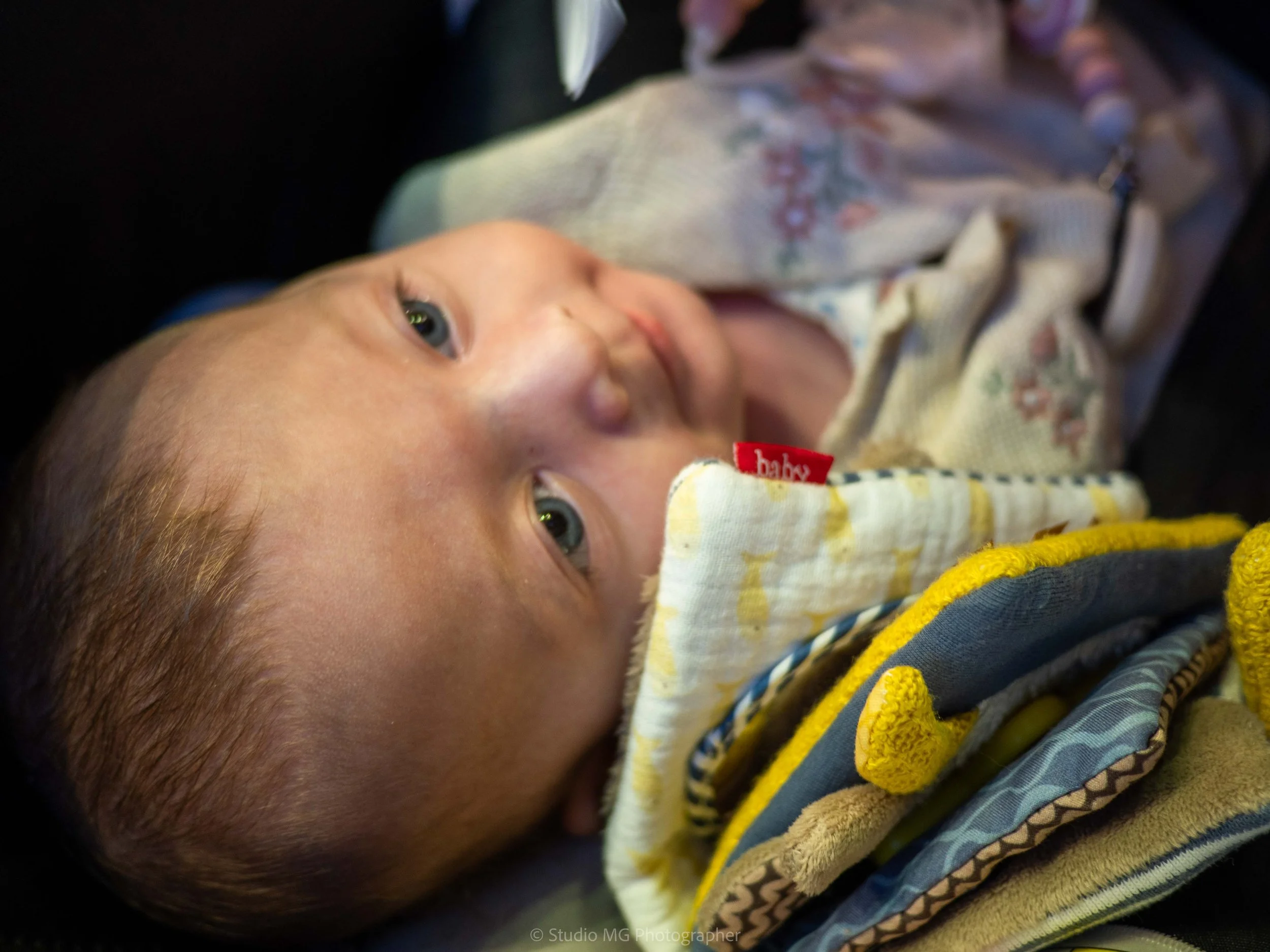 portfolio portrait-8160280.jpg