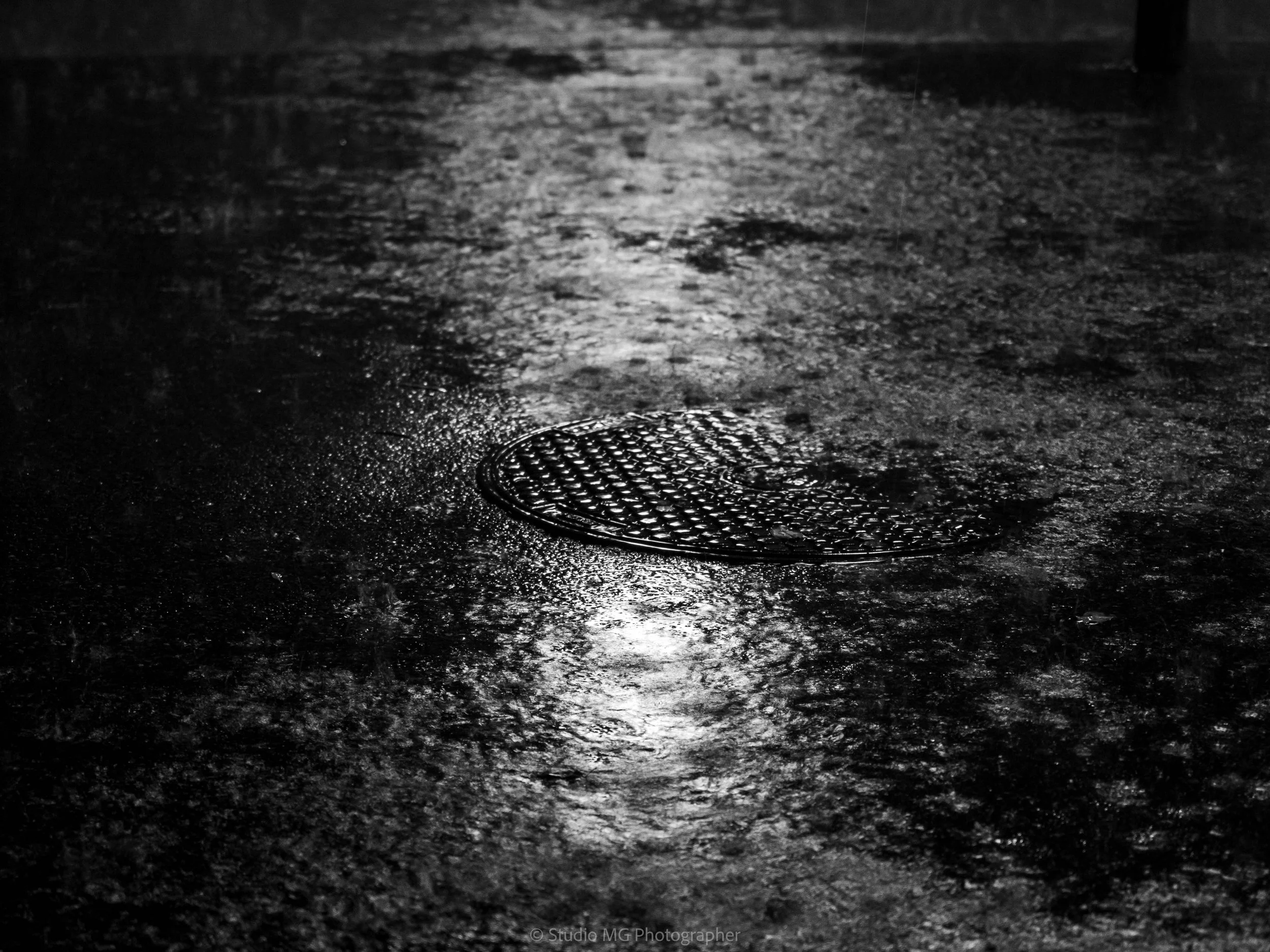 portfolio mono-7230038.jpg