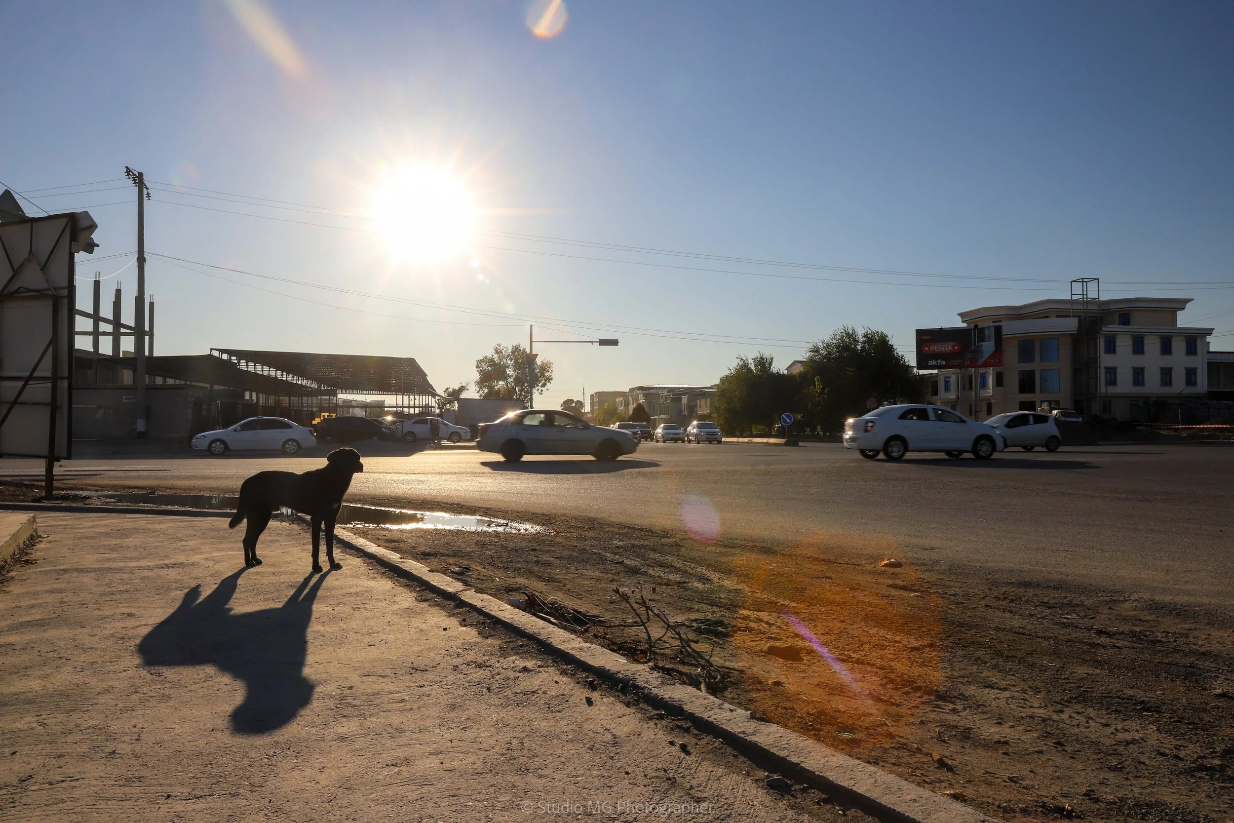 portfolio landscape-7840.jpg