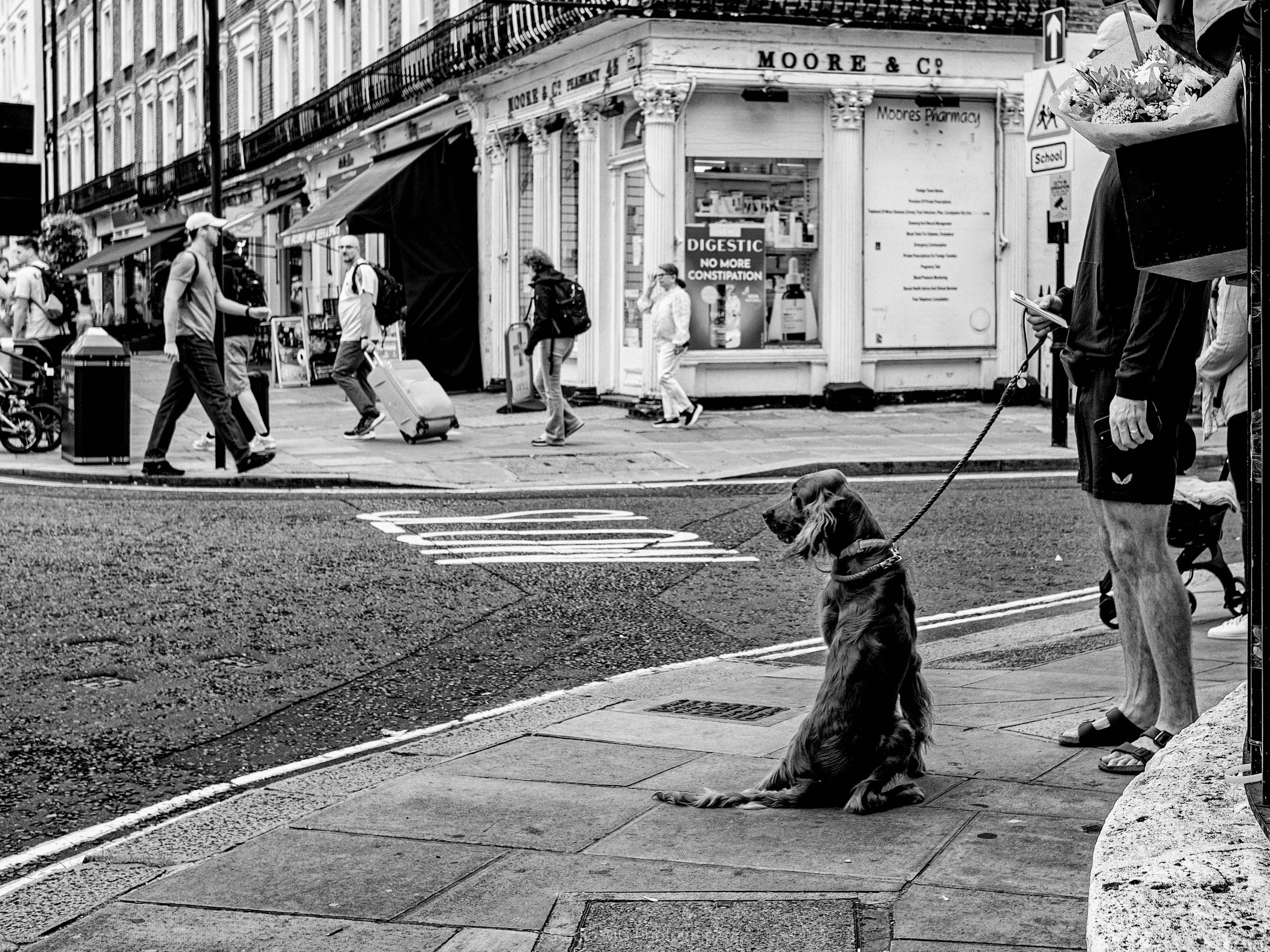 portfolio monorevis--6.jpg