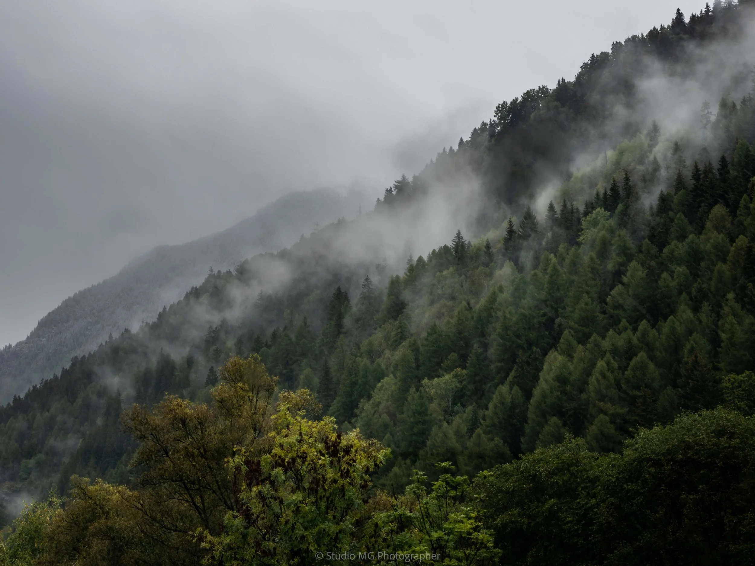 portfolio landscape-9270006.jpg