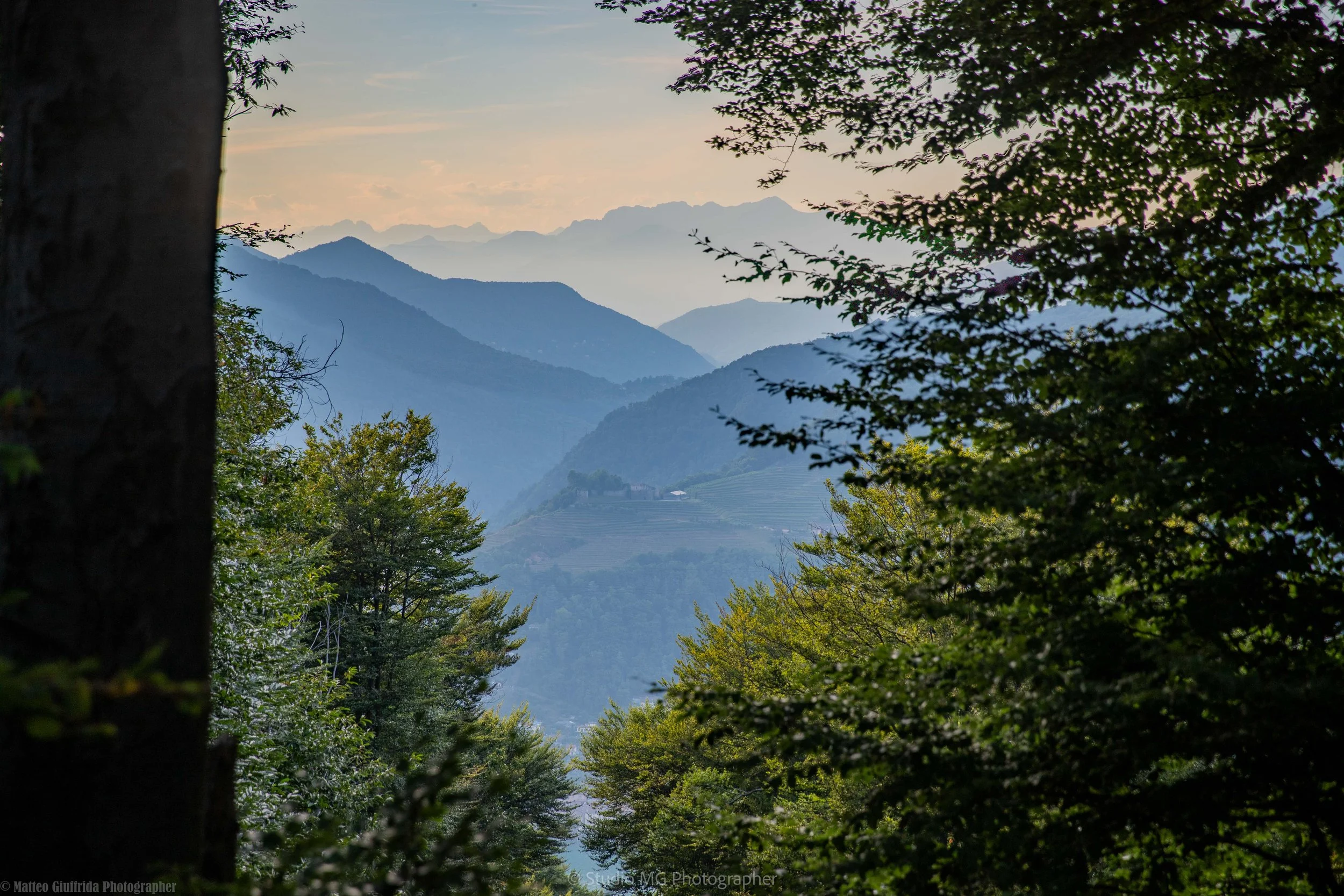 portfolio landscape--7.jpg