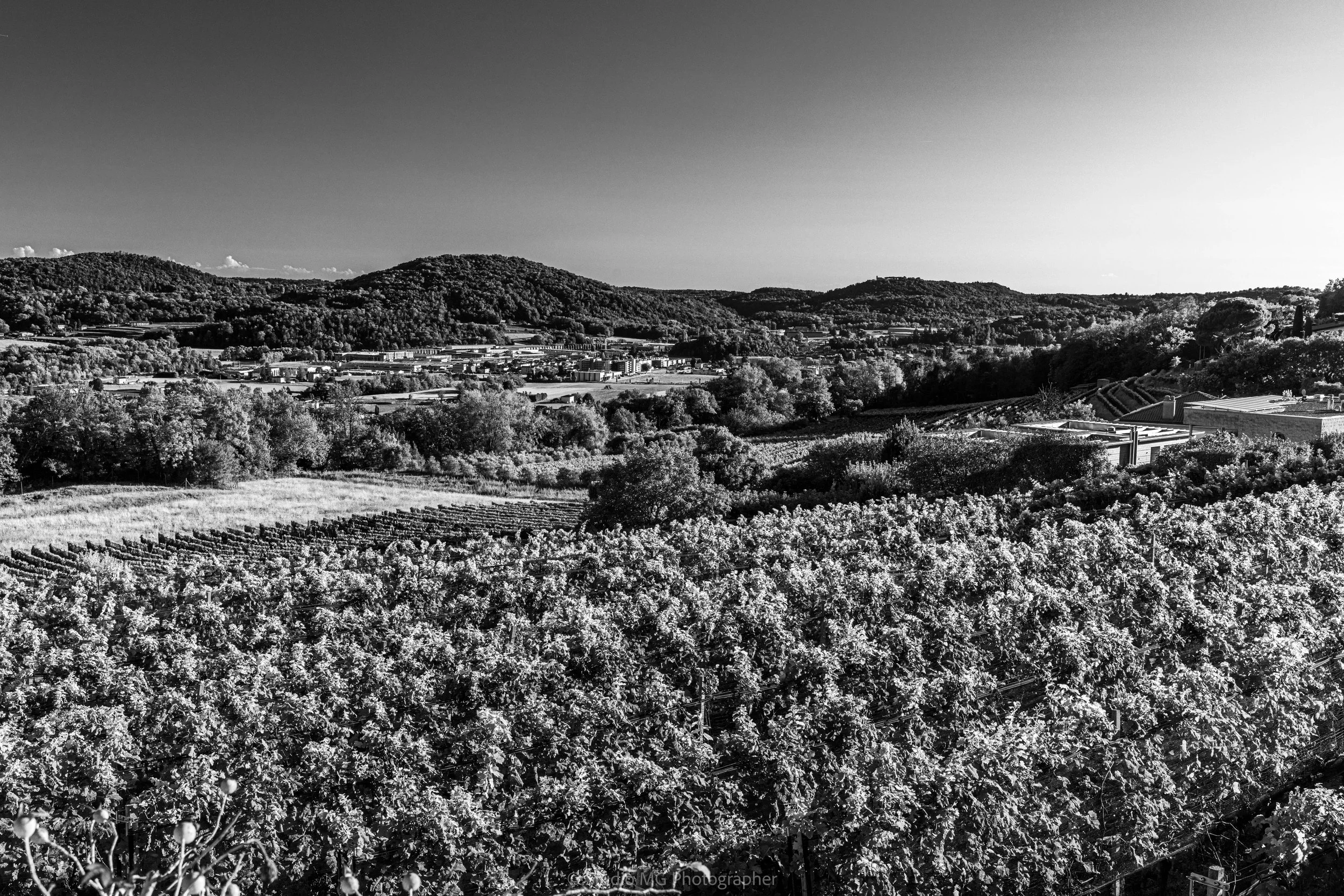 portfolio mono-3859.jpg