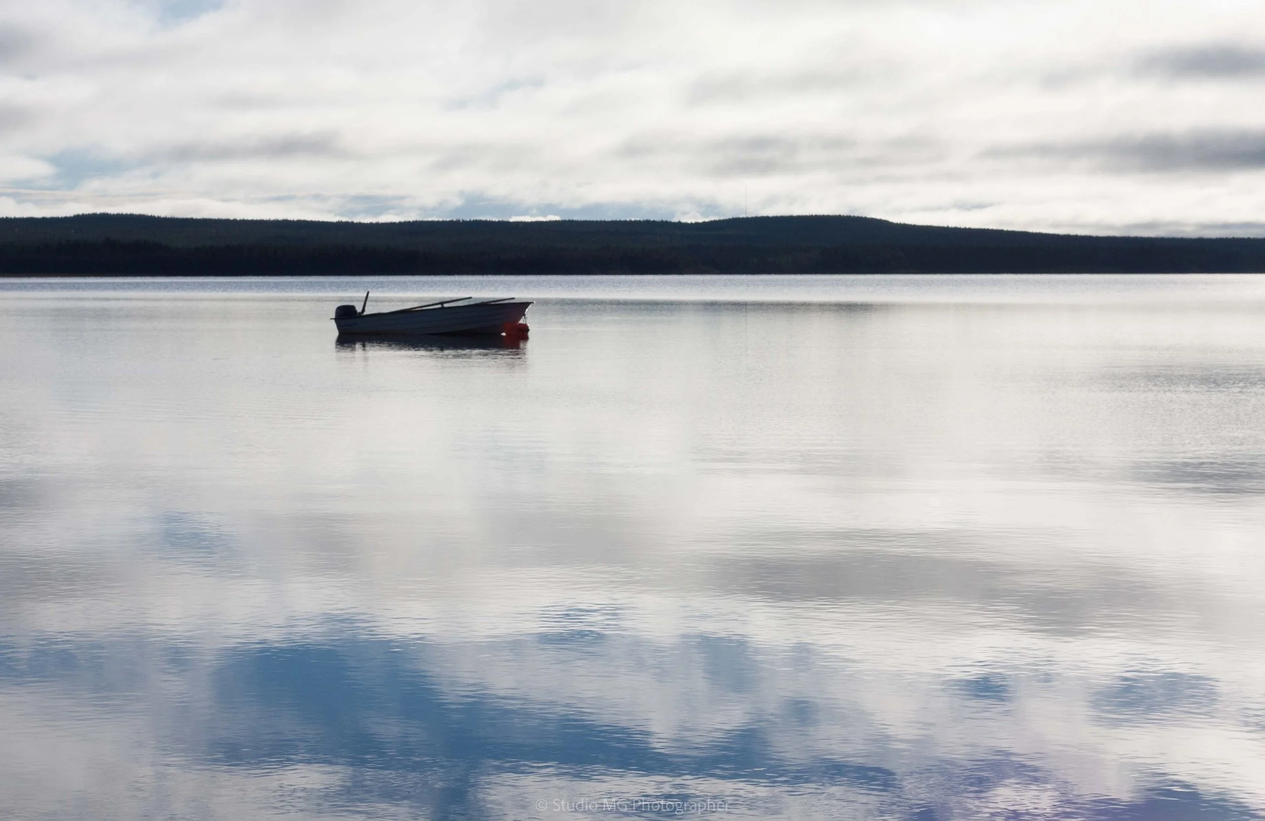 portfolio landscape-1.jpg