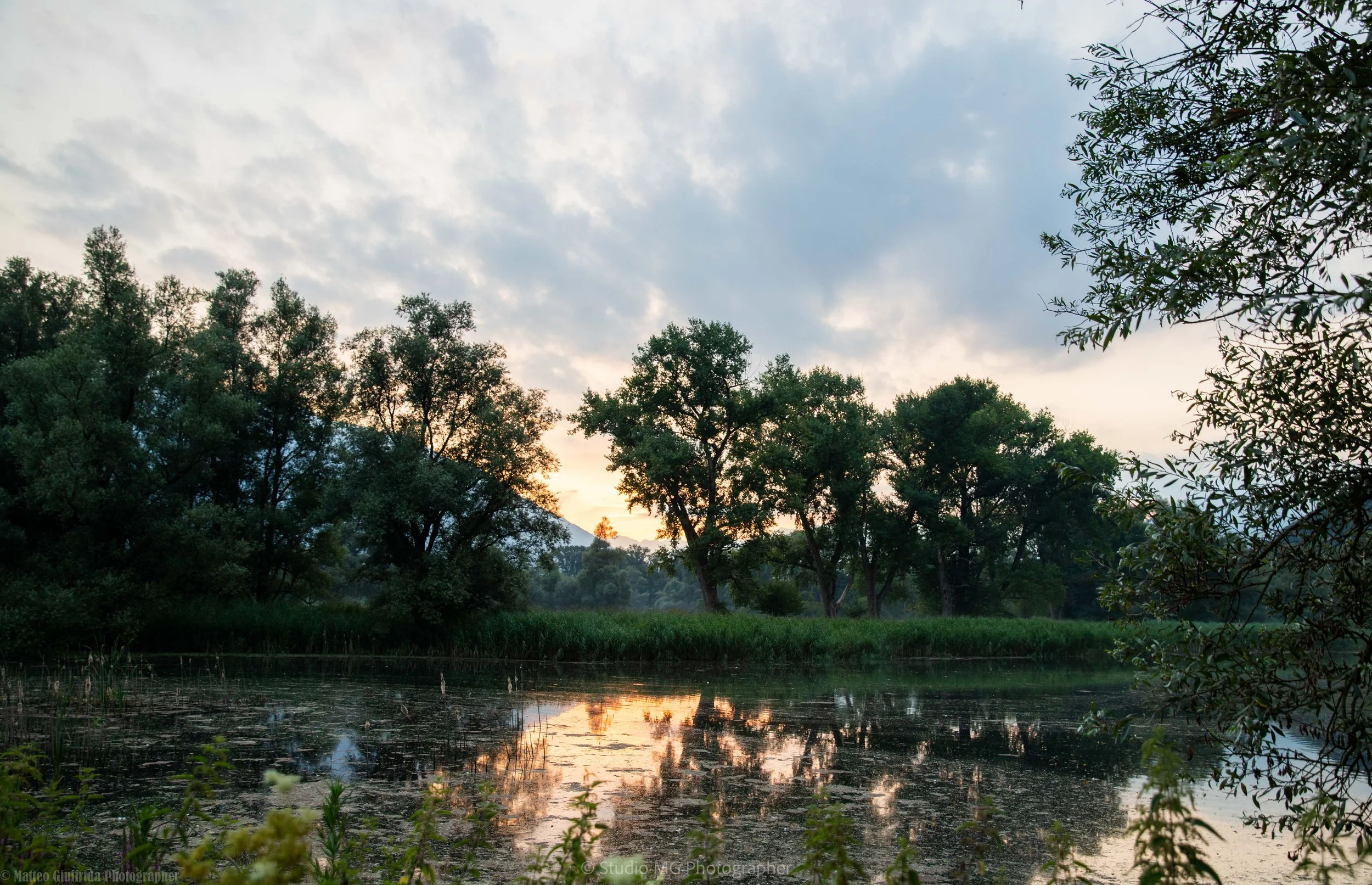 portfolio landscape-3421.jpg