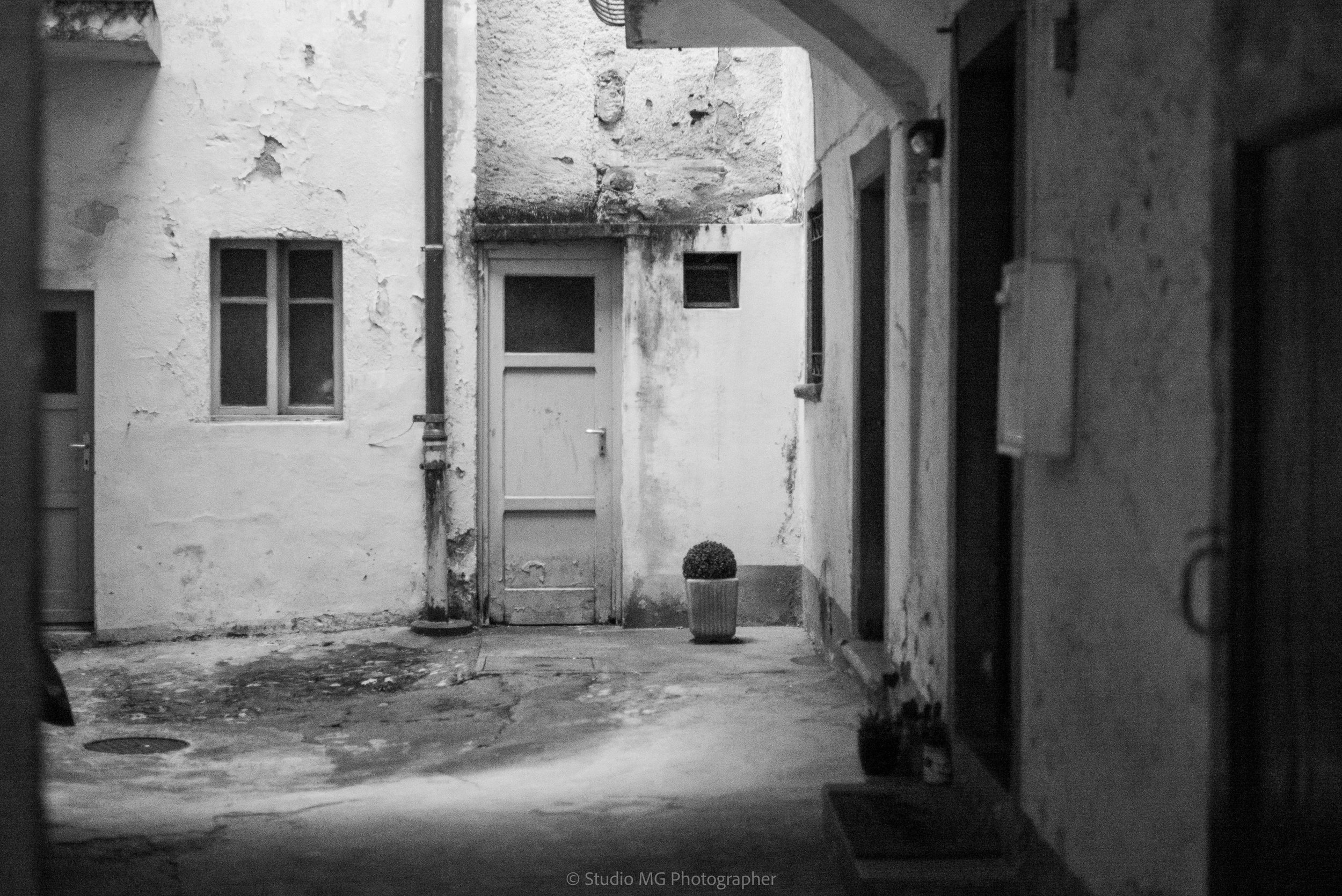 portfolio mono-1000370.jpg