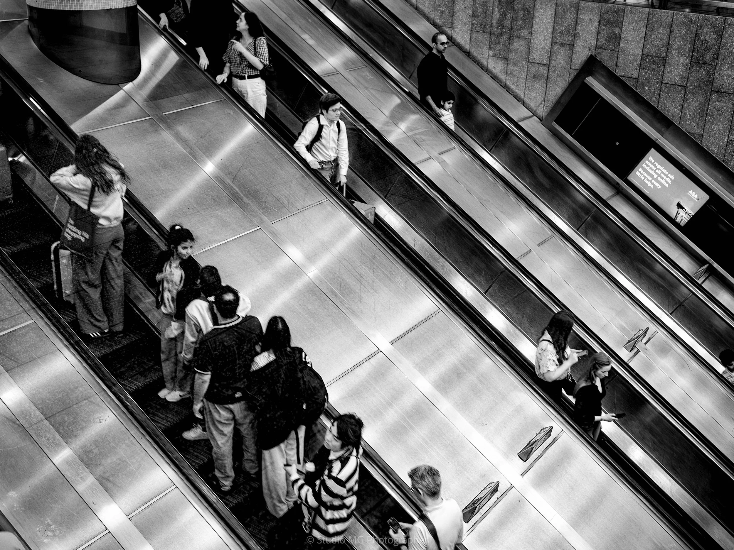 portfolio monorevis--3.jpg