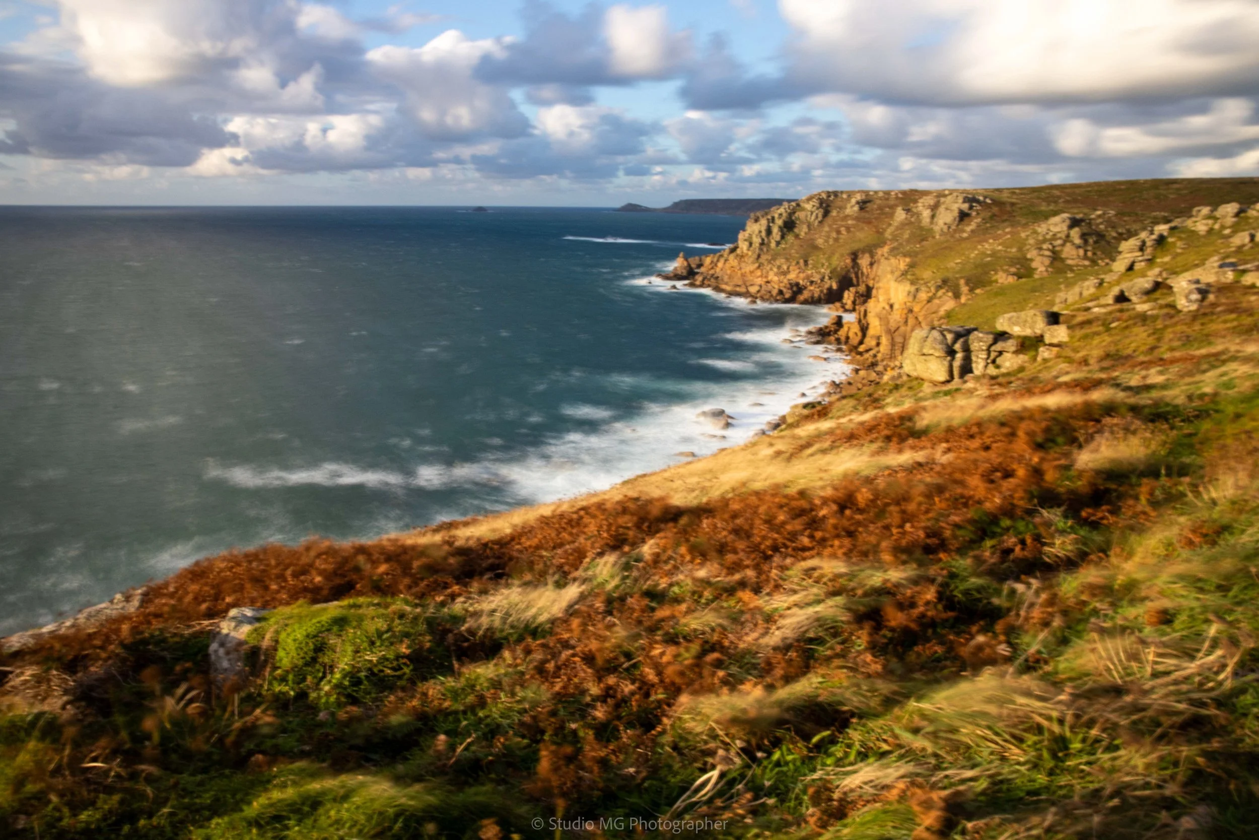 portfolio landscape--8.jpg