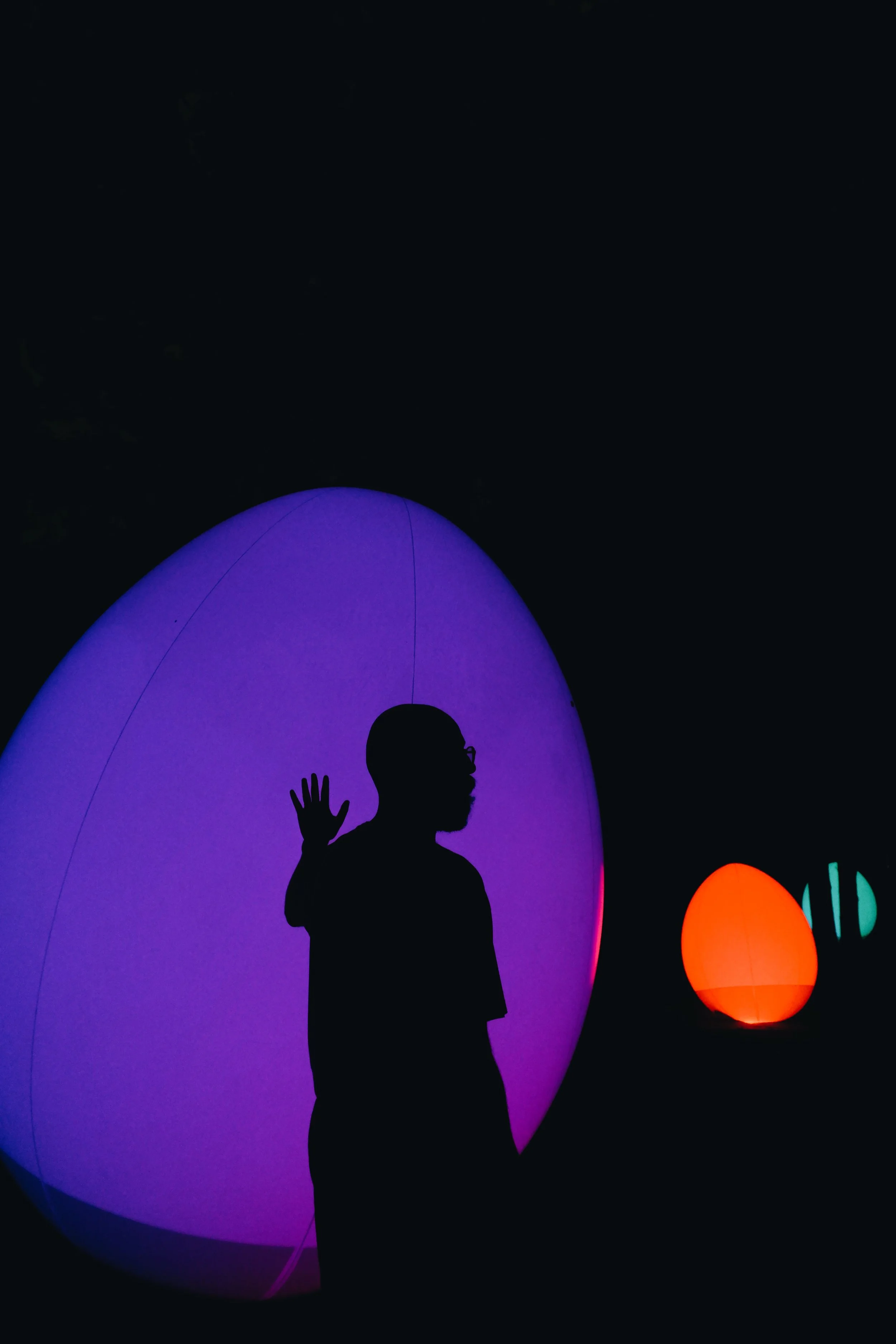 TeamLab Botanical Garden Osaka