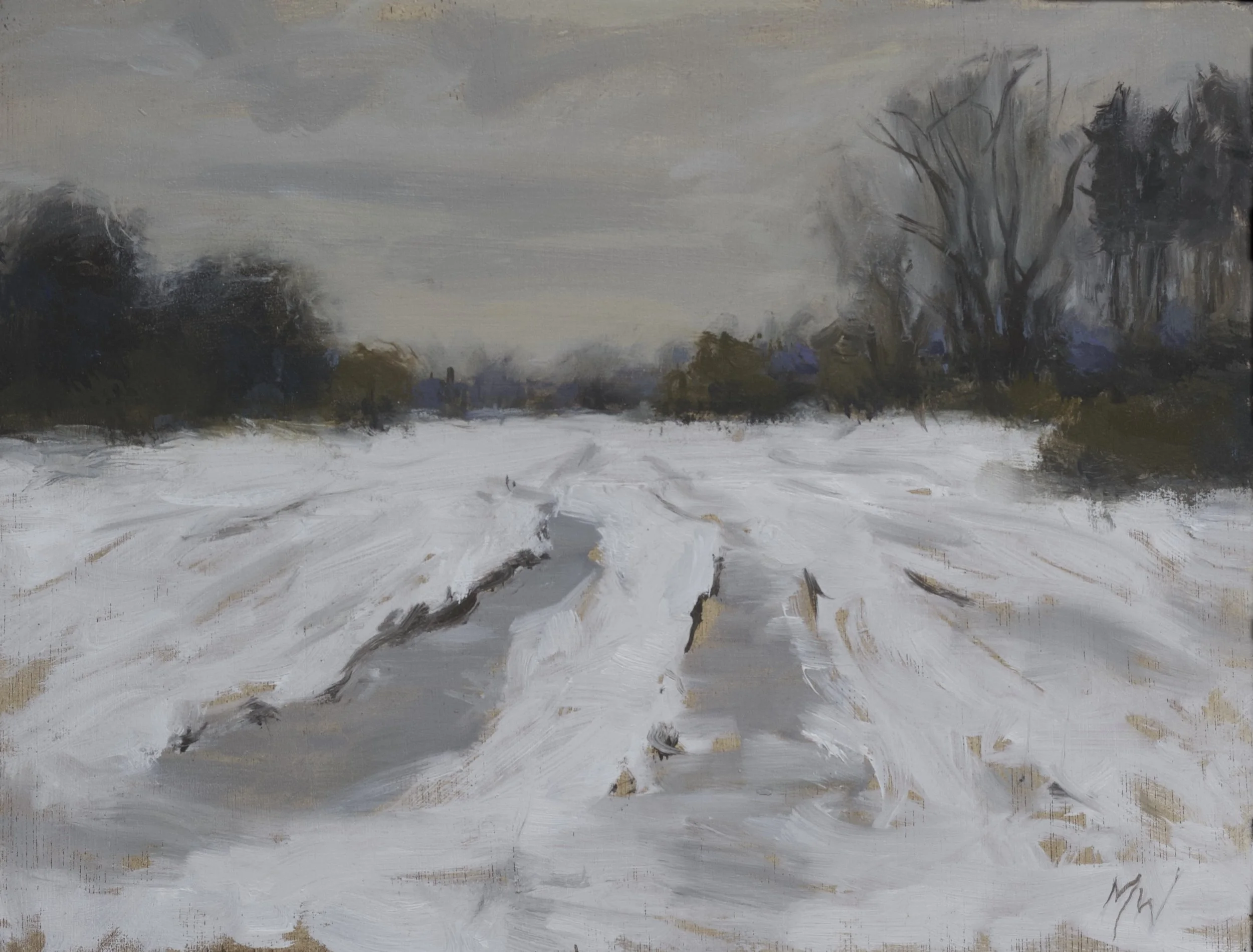 MARTIN_WRIGHT_AFTER_ THE_STORM_JPEG.jpg