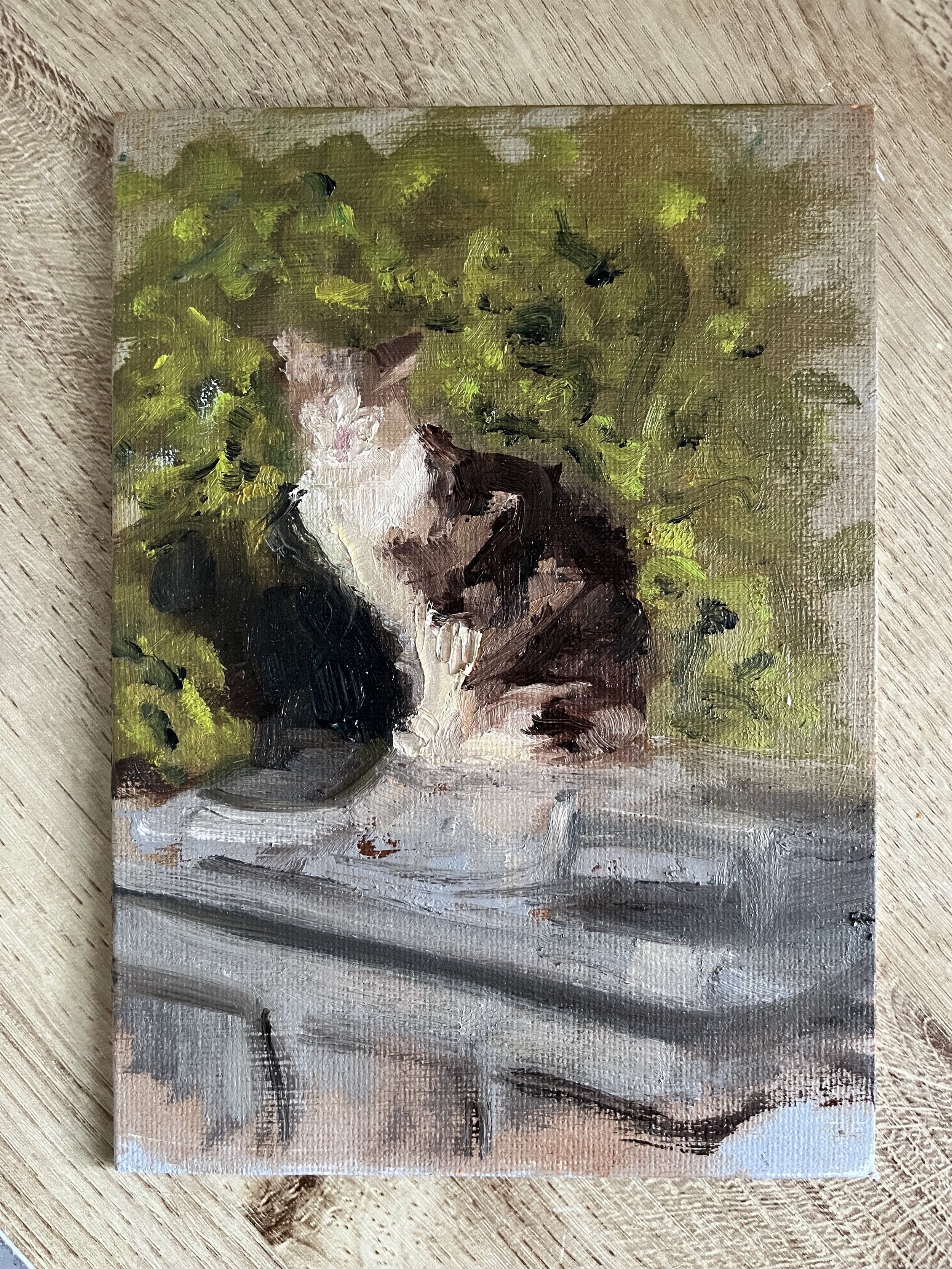 Cat on a Bin